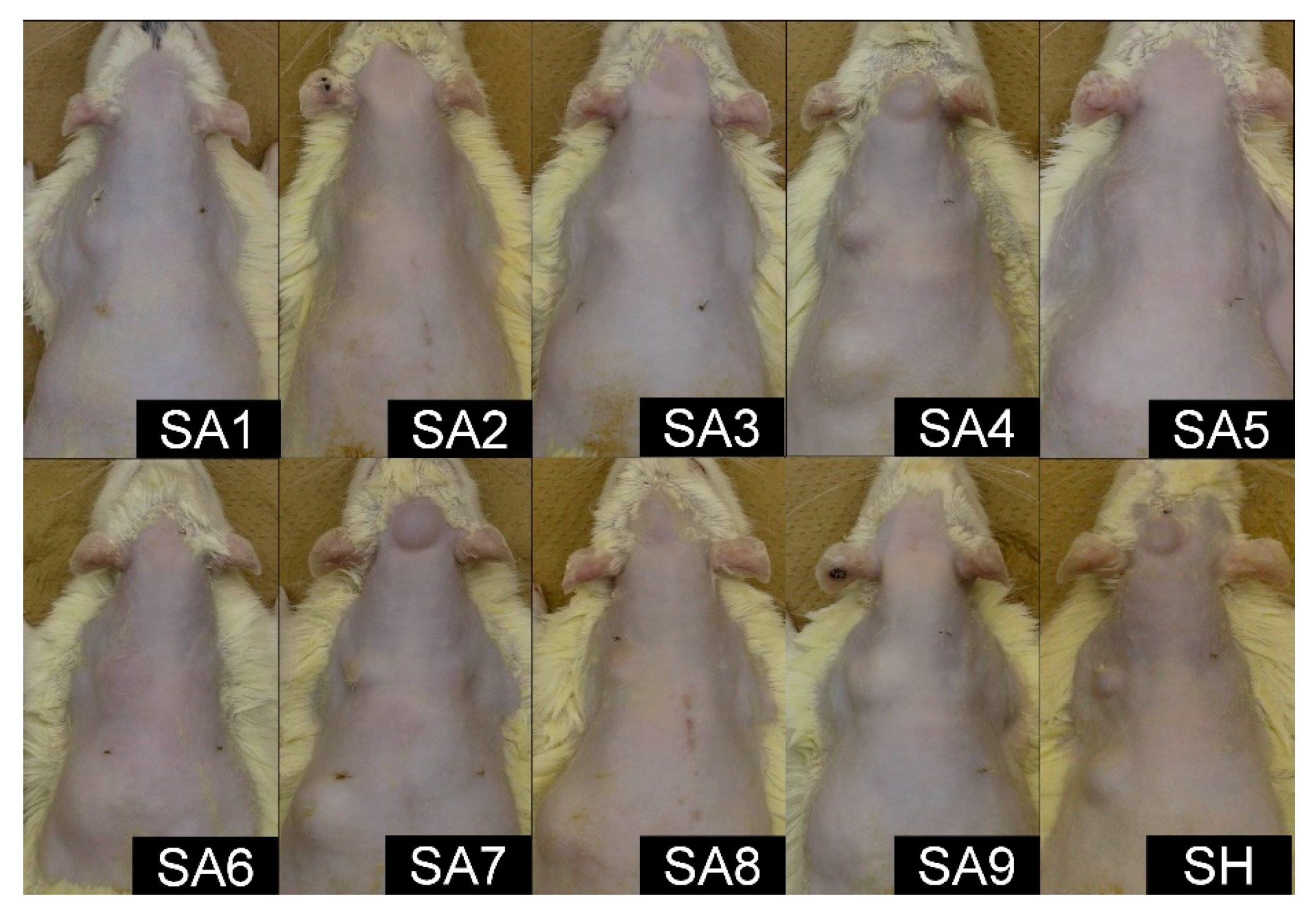 Marinedrugs 18 00520 g001