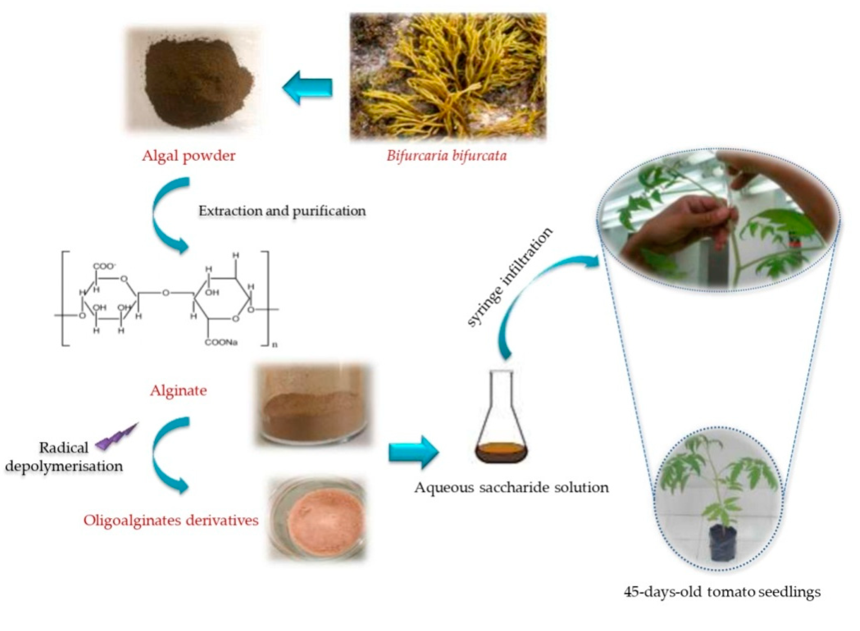 Marinedrugs 18 00521 g003 Marinedrugs 18 00521 g003