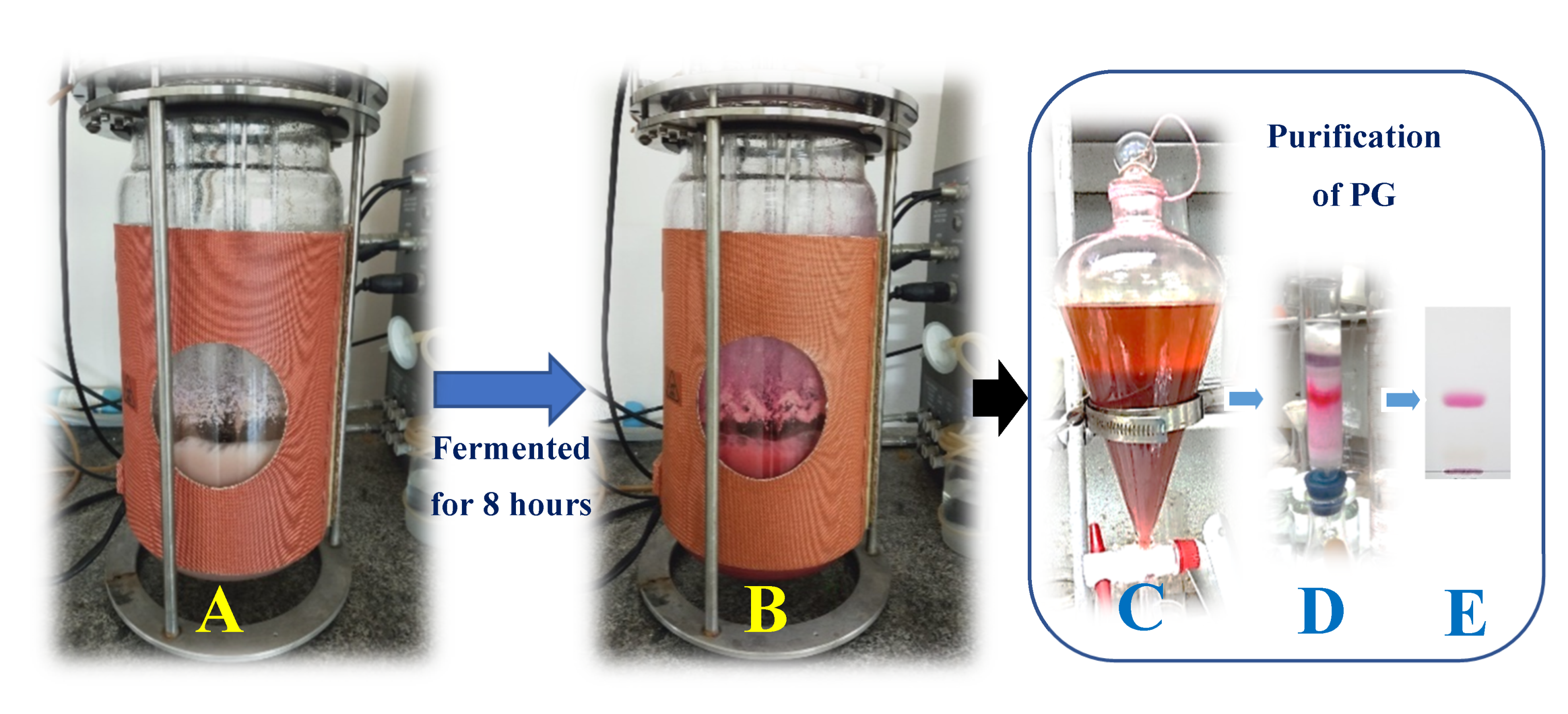 Marinedrugs 18 00523 g005