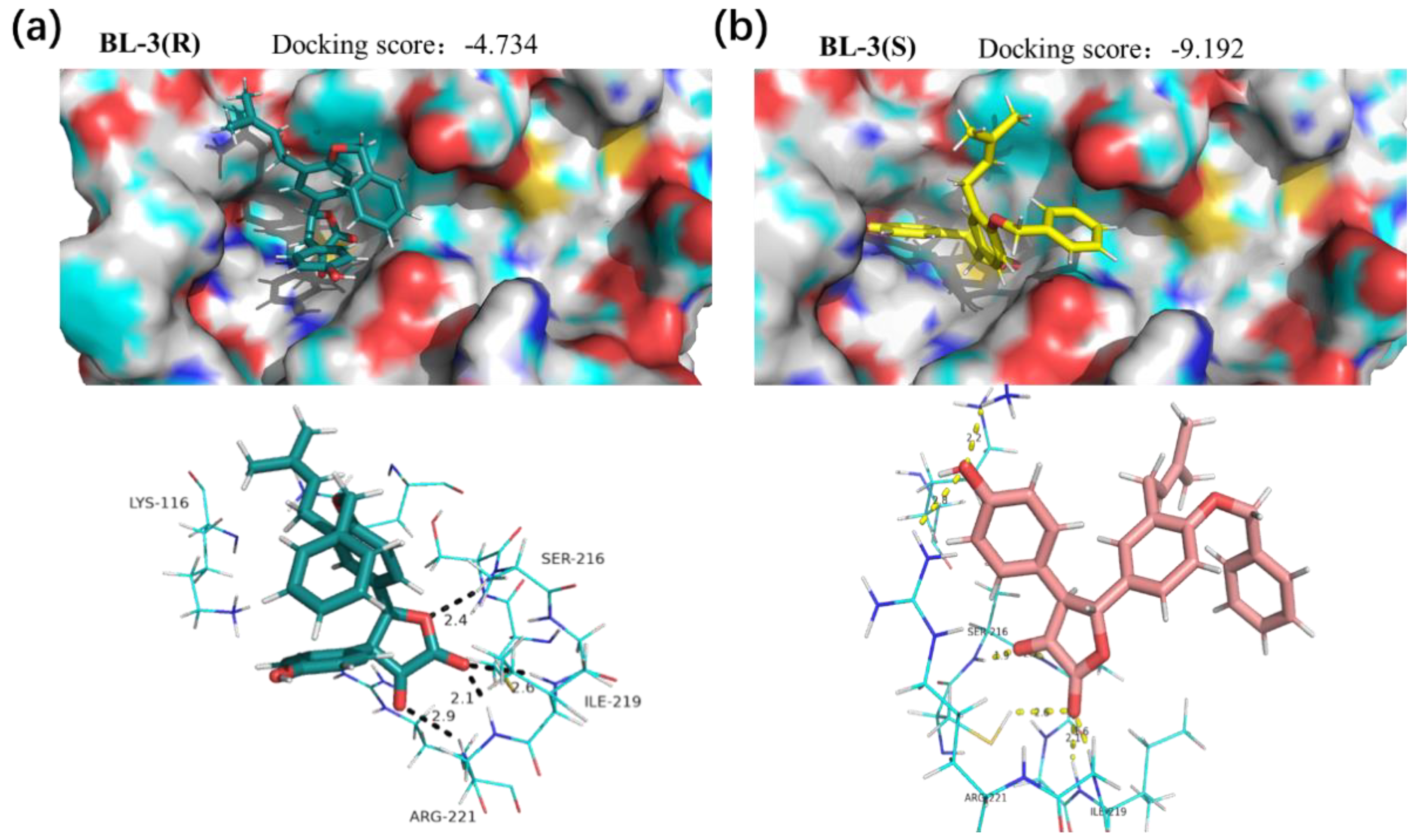 Marinedrugs 18 00526 g007 Marinedrugs 18 00526 g007