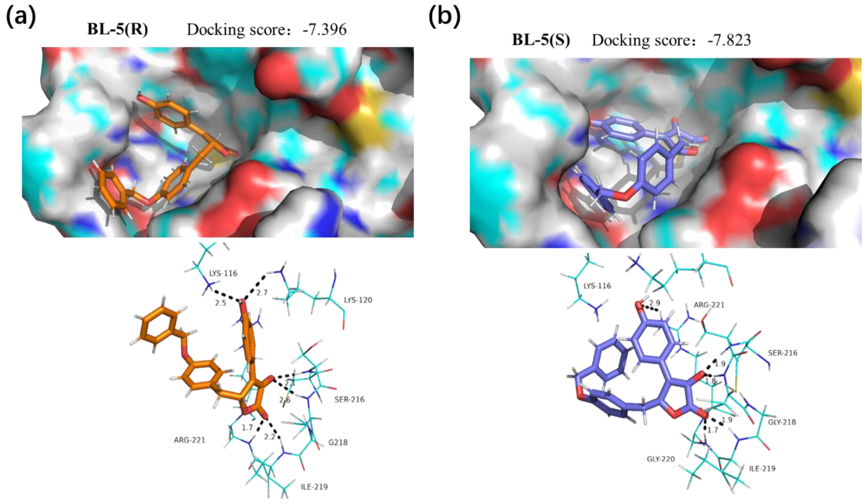 Marinedrugs 18 00526 g008 Marinedrugs 18 00526 g008
