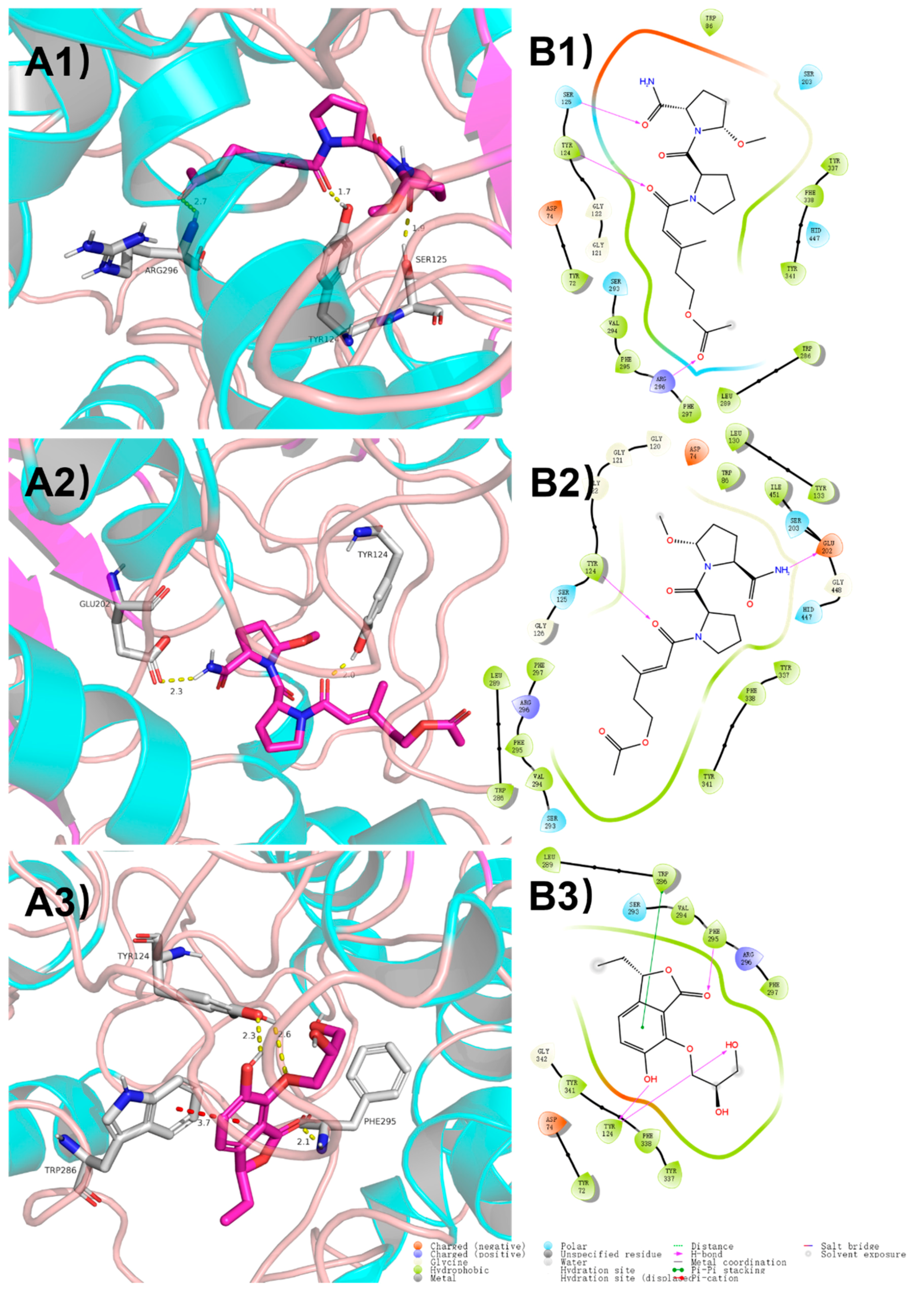 Marinedrugs 18 00547 g004 Marinedrugs 18 00547 g004