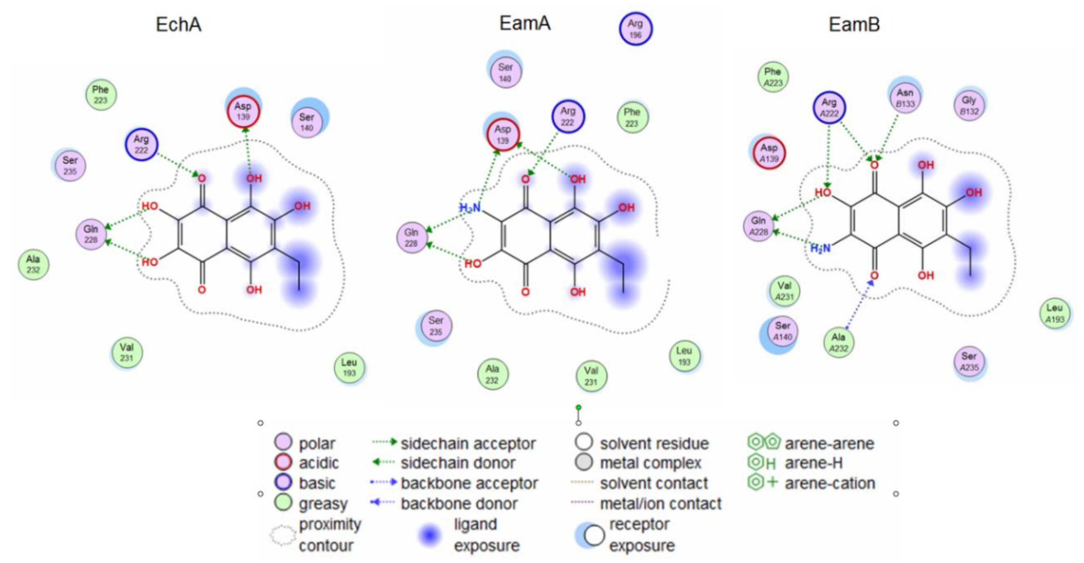Marinedrugs 18 00550 g004 Marinedrugs 18 00550 g004