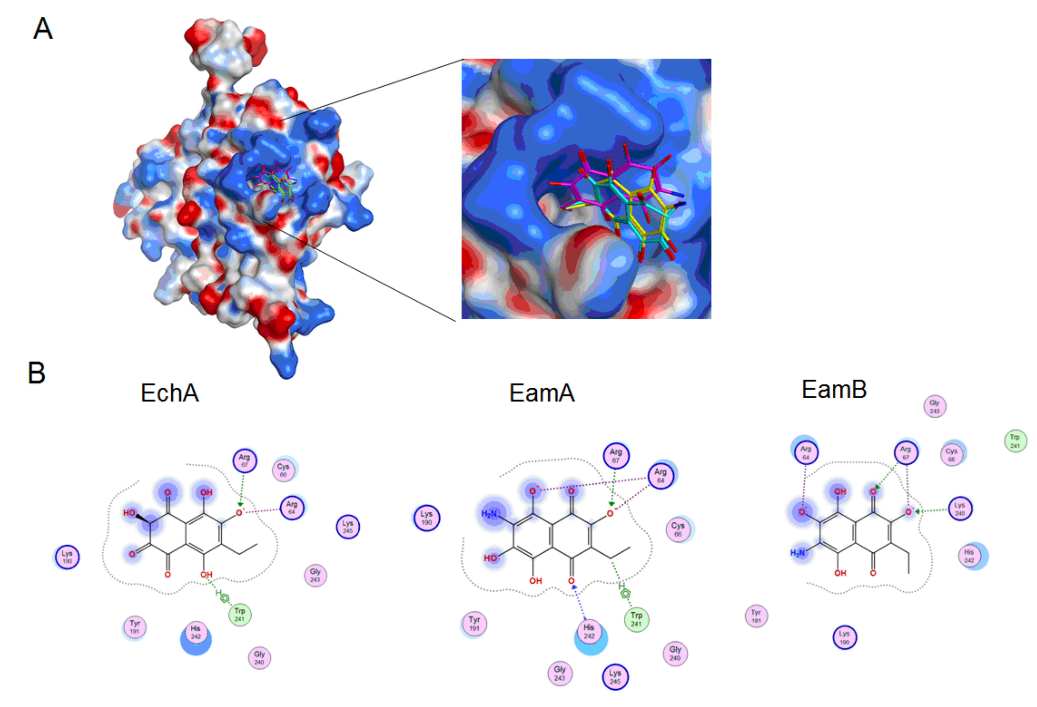 Marinedrugs 18 00550 g006 Marinedrugs 18 00550 g006