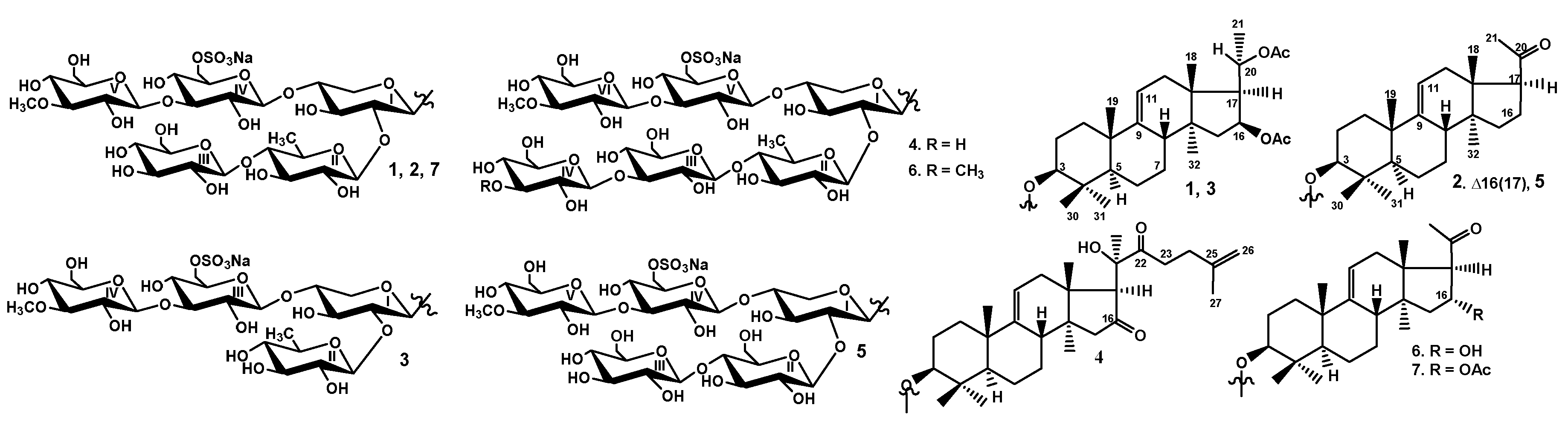 Marinedrugs 18 00551 g001