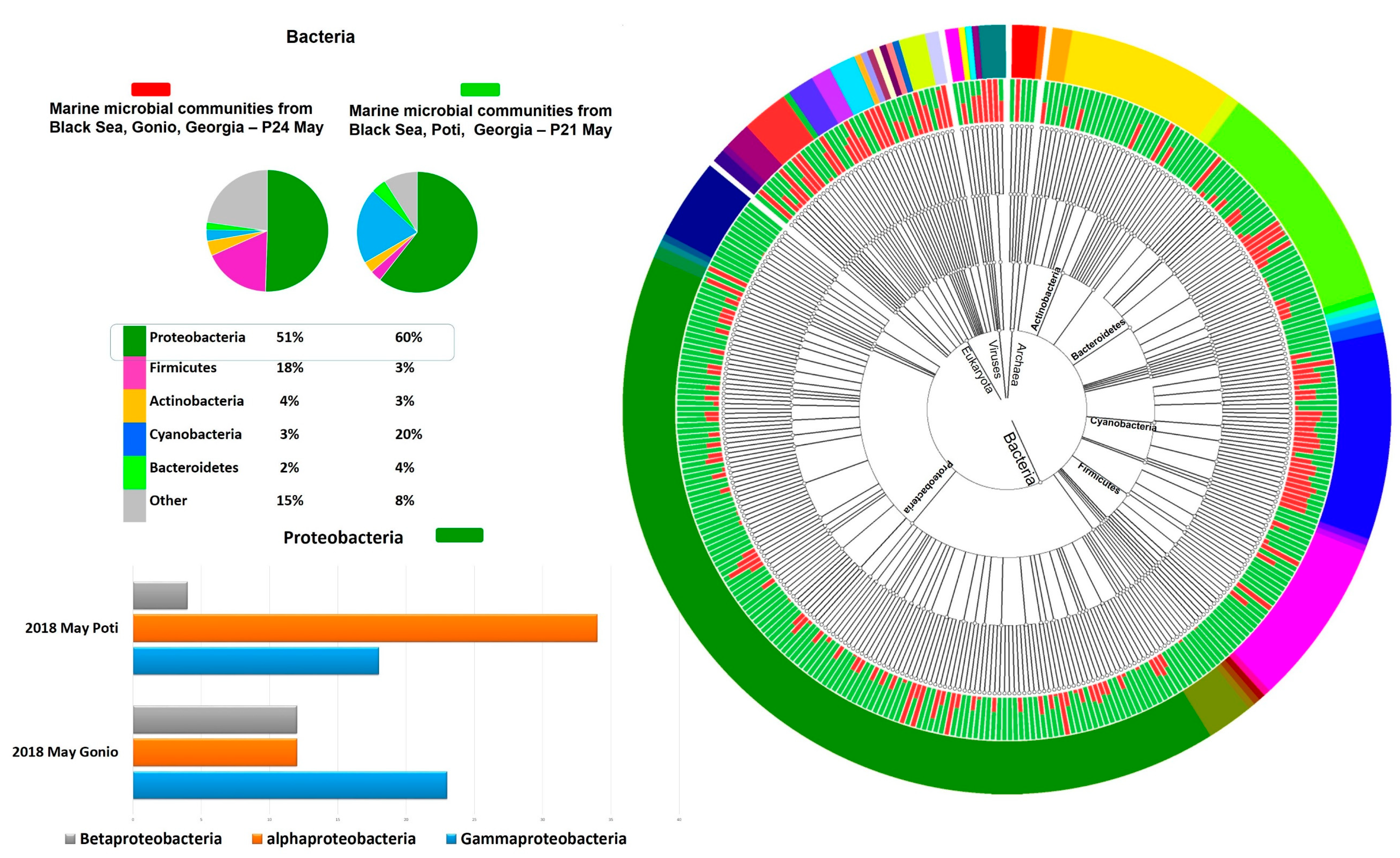 Marinedrugs 18 00558 g001 Marinedrugs 18 00558 g001