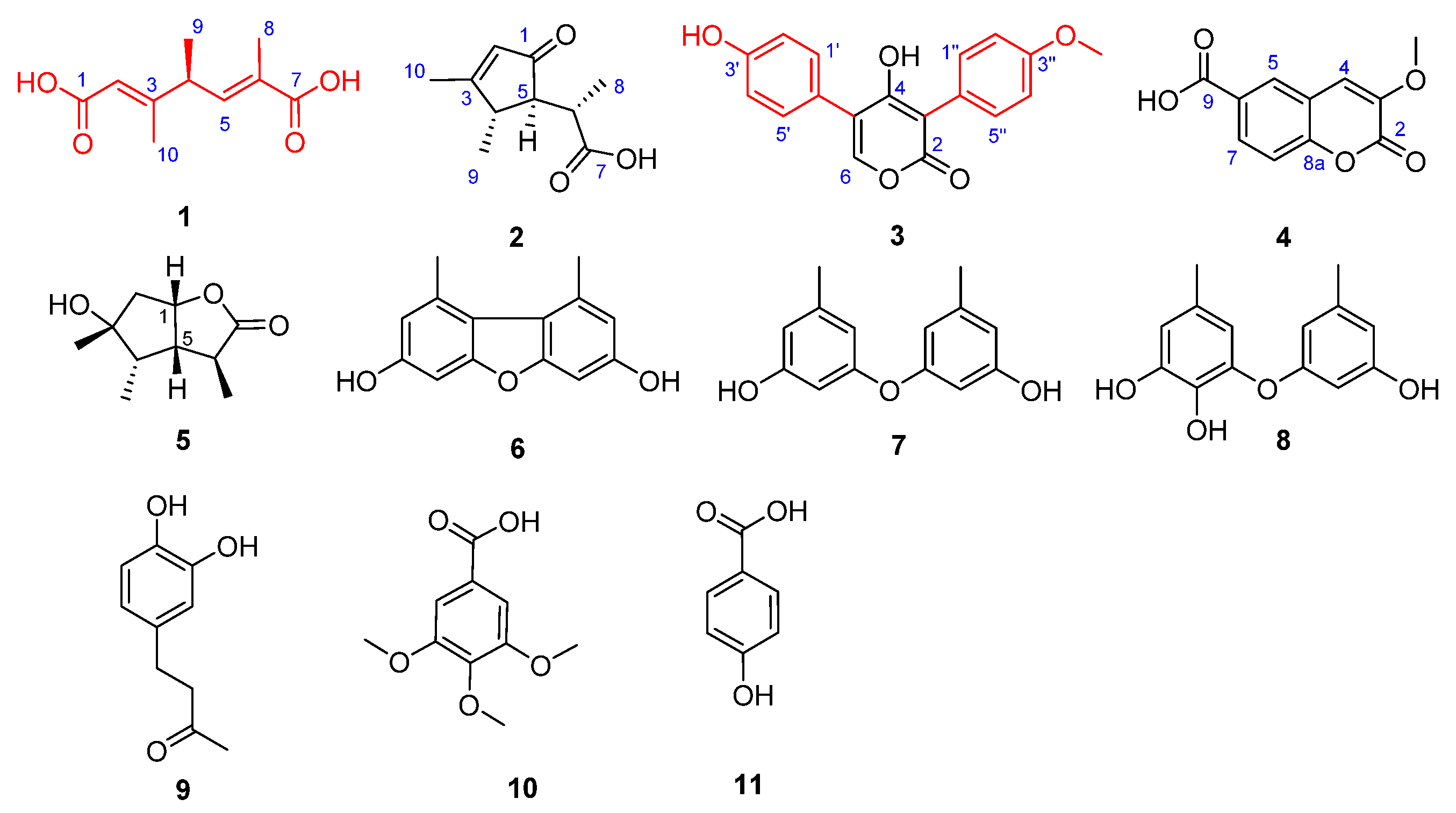 Marinedrugs 18 00561 g001 Marinedrugs 18 00561 g001
