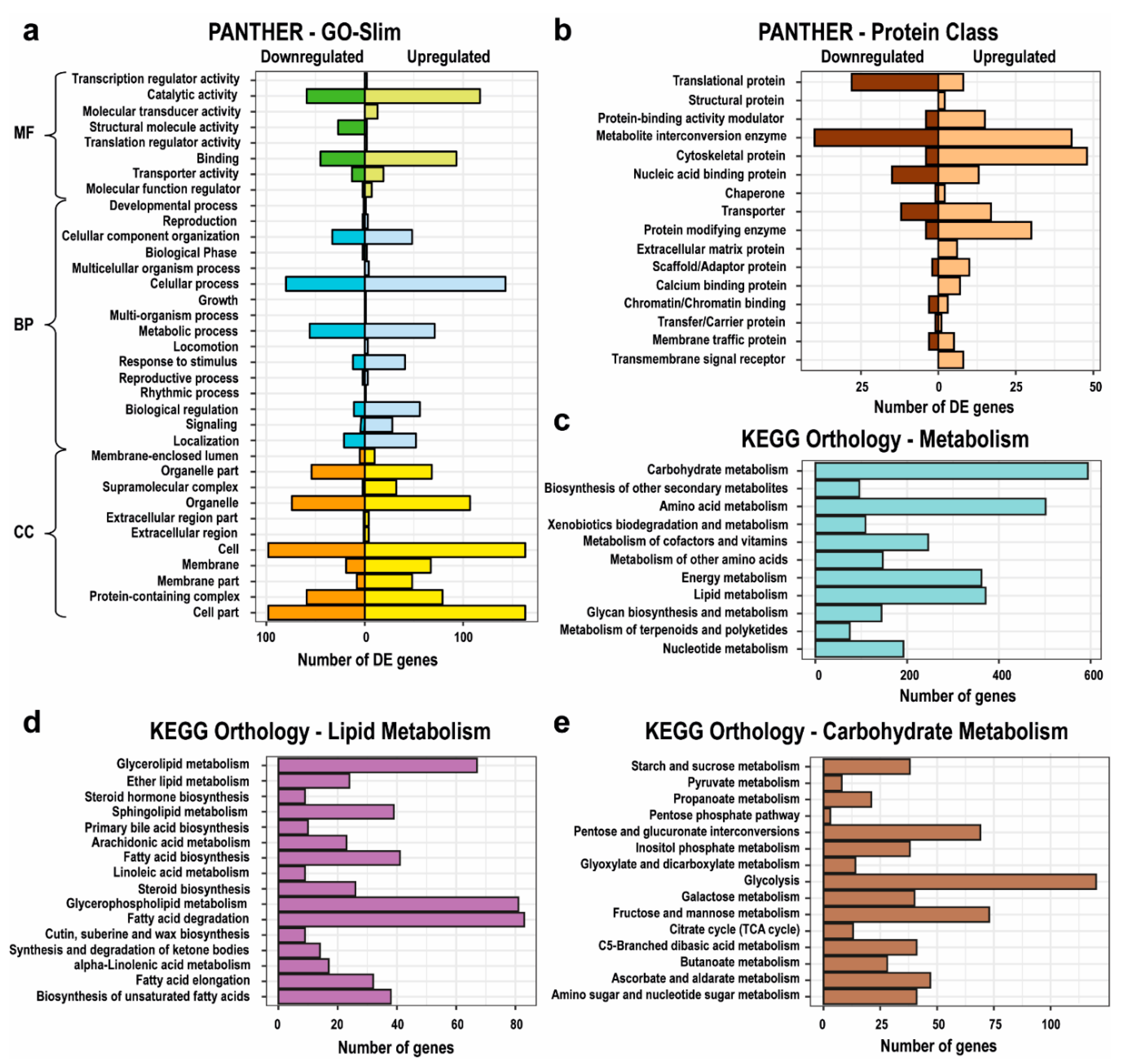 Marinedrugs 18 00563 g001