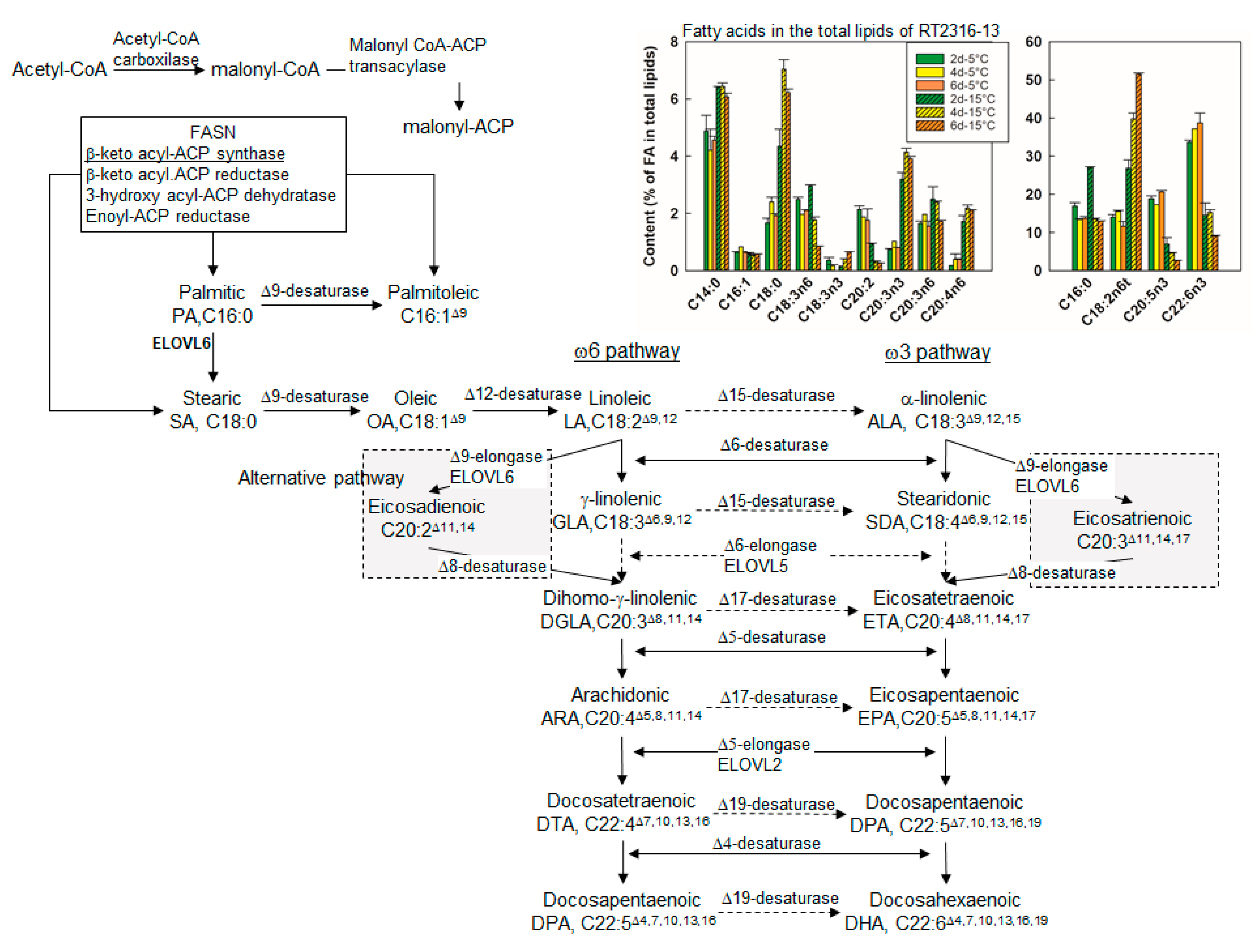 Marinedrugs 18 00563 g002