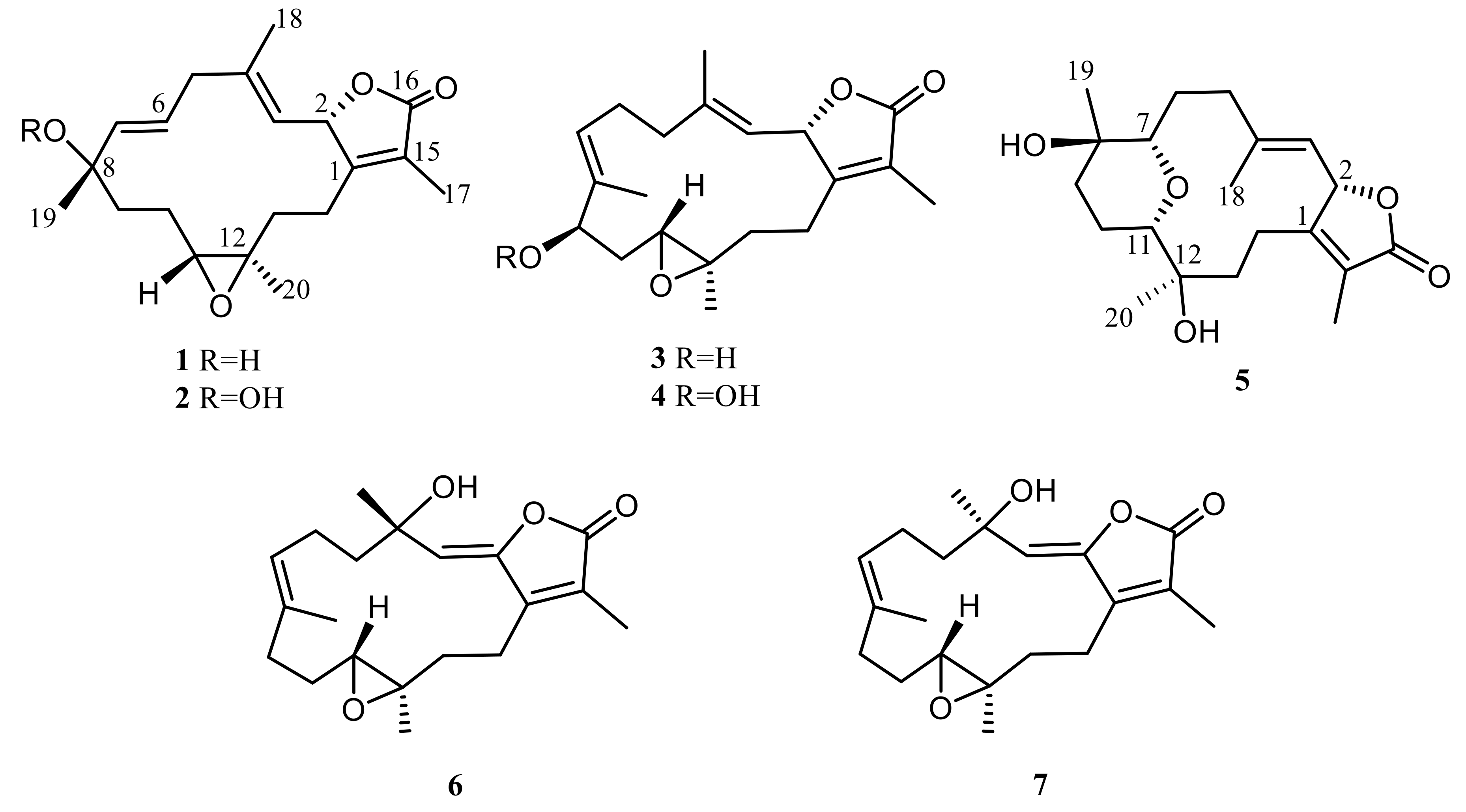 Marinedrugs 18 00573 g001 Marinedrugs 18 00573 g001