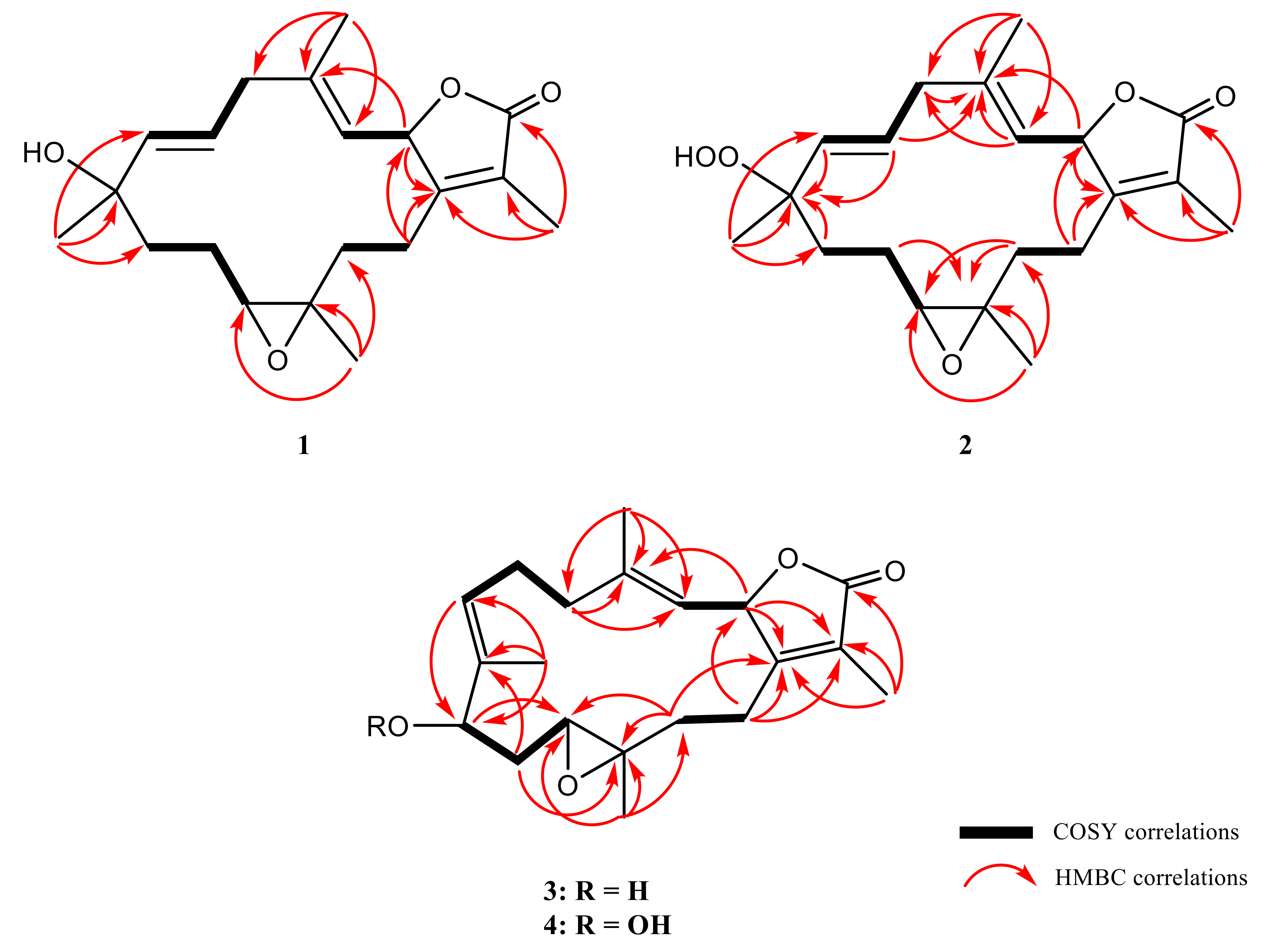 Marinedrugs 18 00573 g002 Marinedrugs 18 00573 g002