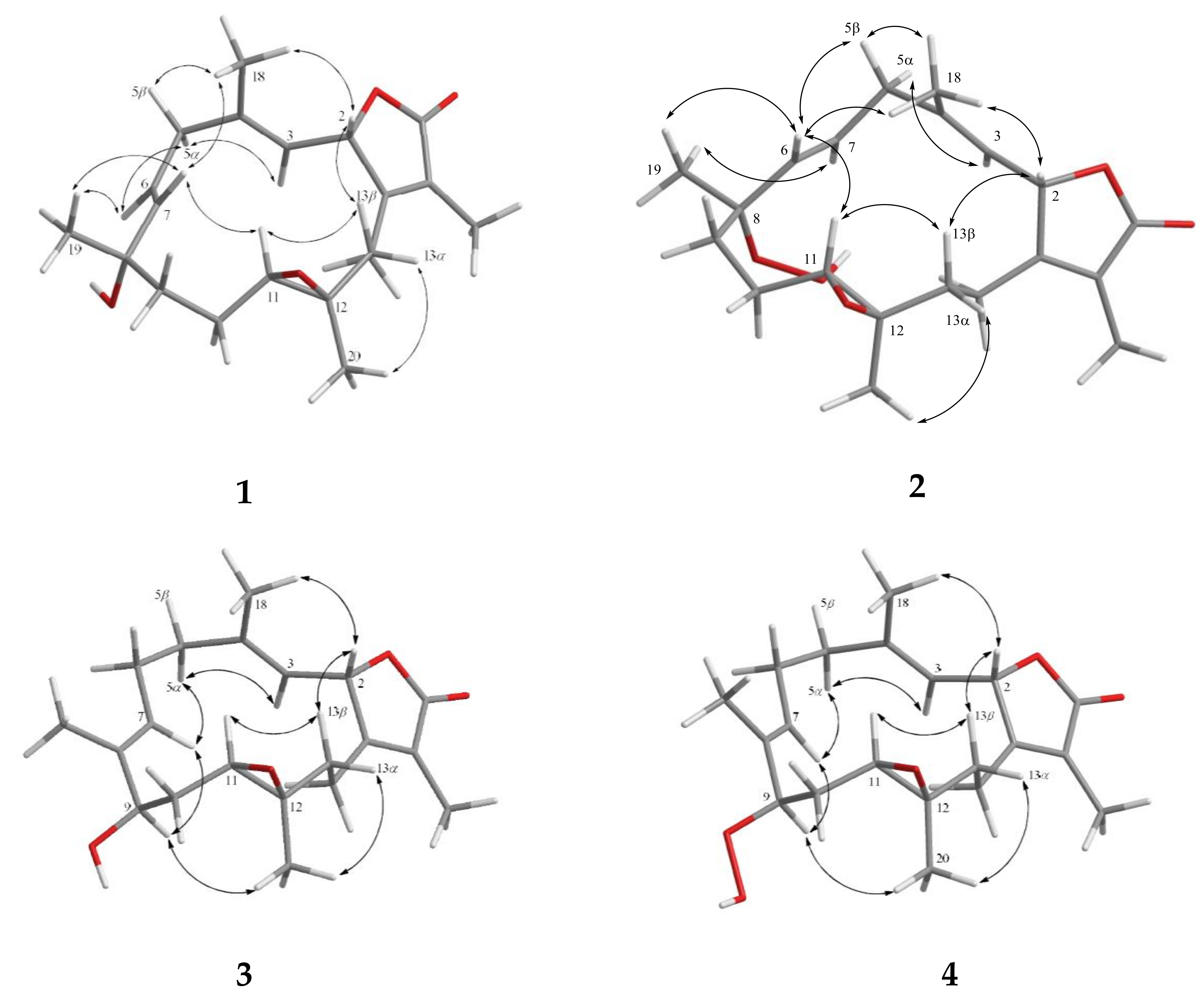 Marinedrugs 18 00573 g003 Marinedrugs 18 00573 g003