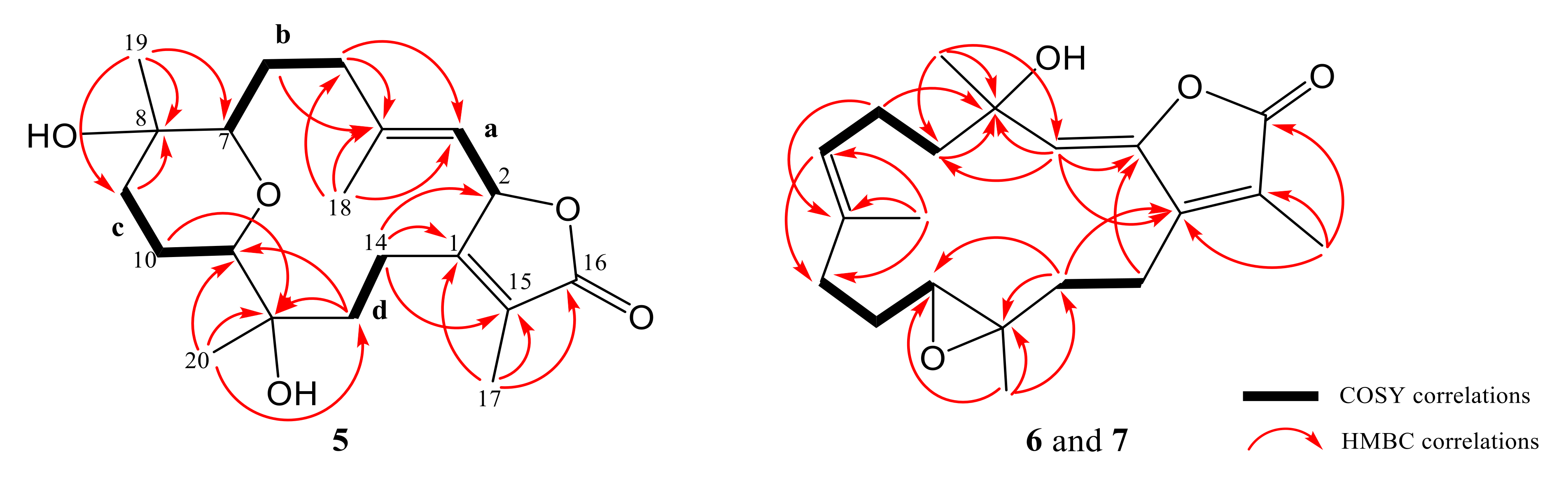 Marinedrugs 18 00573 g004 Marinedrugs 18 00573 g004