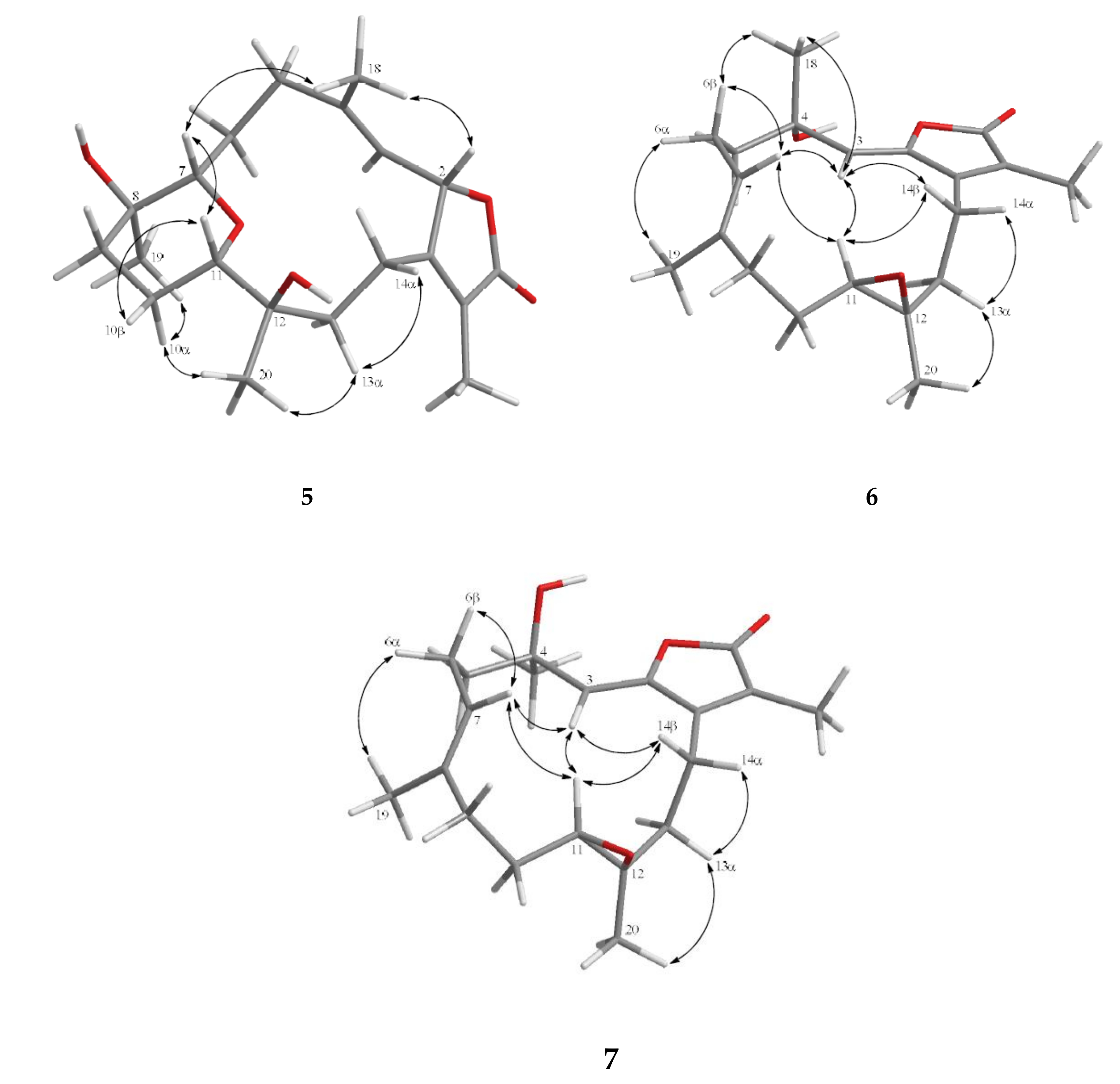 Marinedrugs 18 00573 g005 Marinedrugs 18 00573 g005