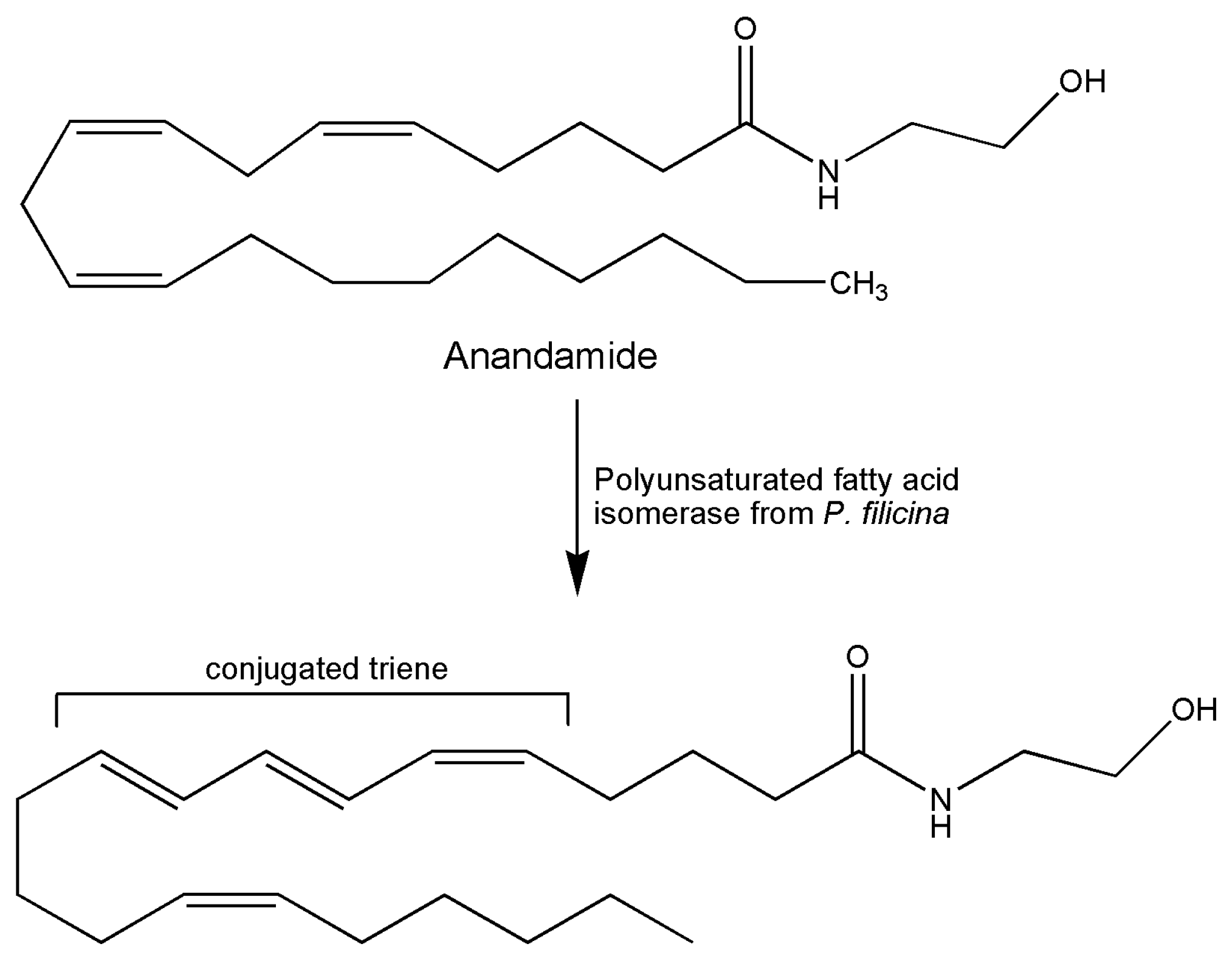 Marinedrugs 18 00580 g002