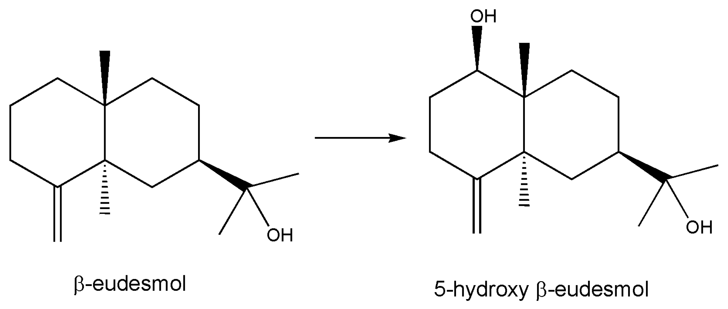 Marinedrugs 18 00580 g005