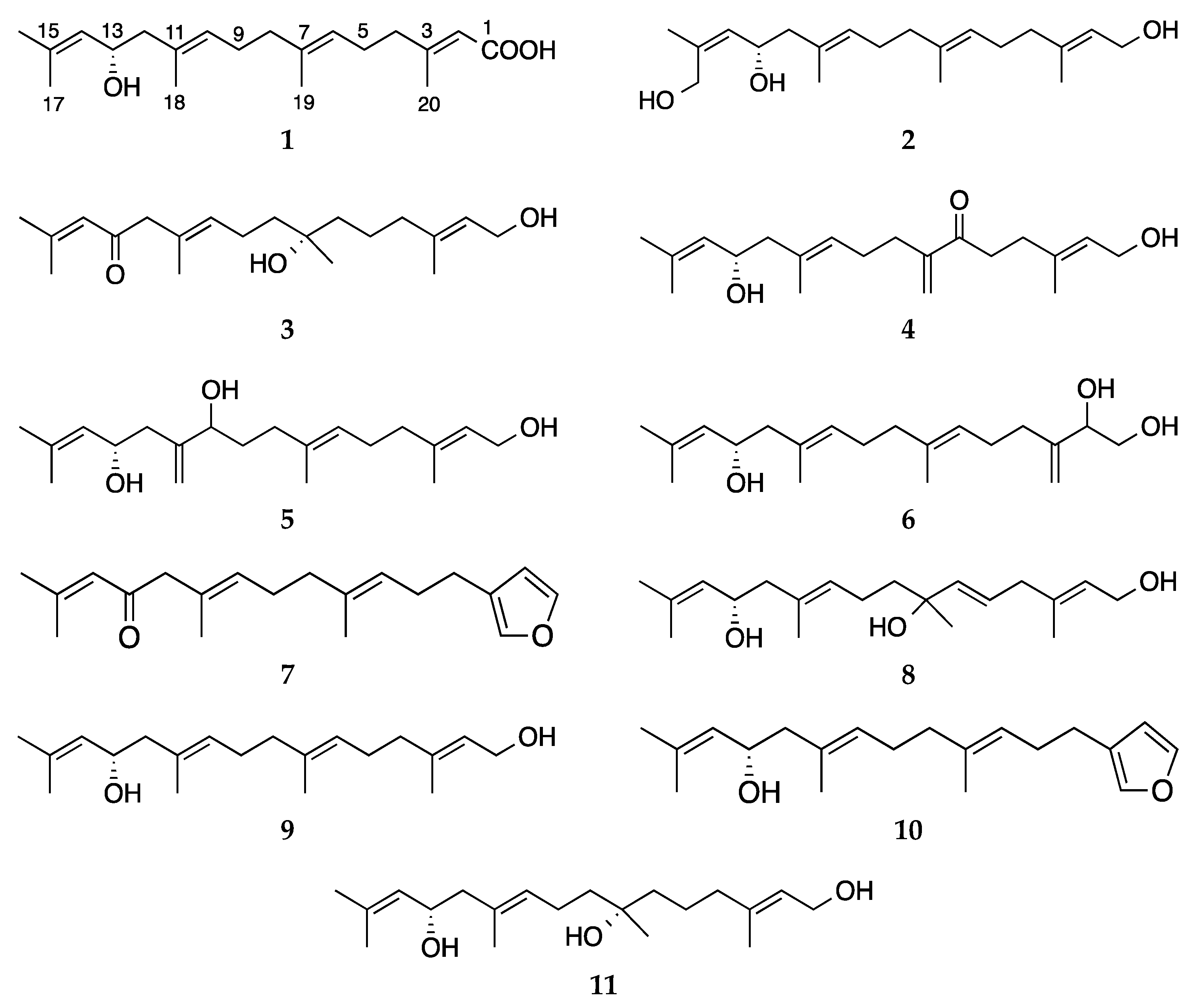 Marinedrugs 18 00581 g001