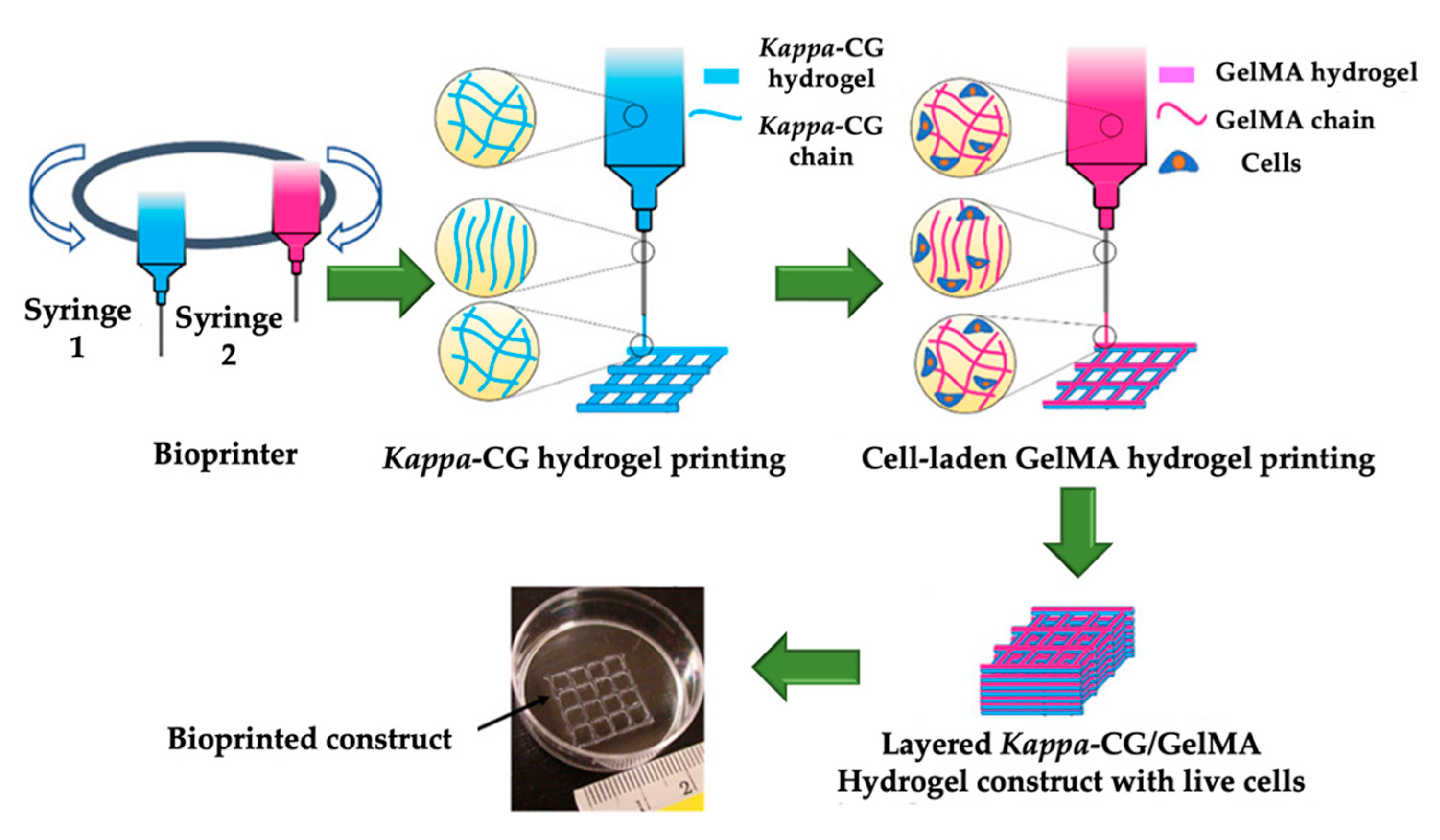 Marinedrugs 18 00583 g011 Marinedrugs 18 00583 g011