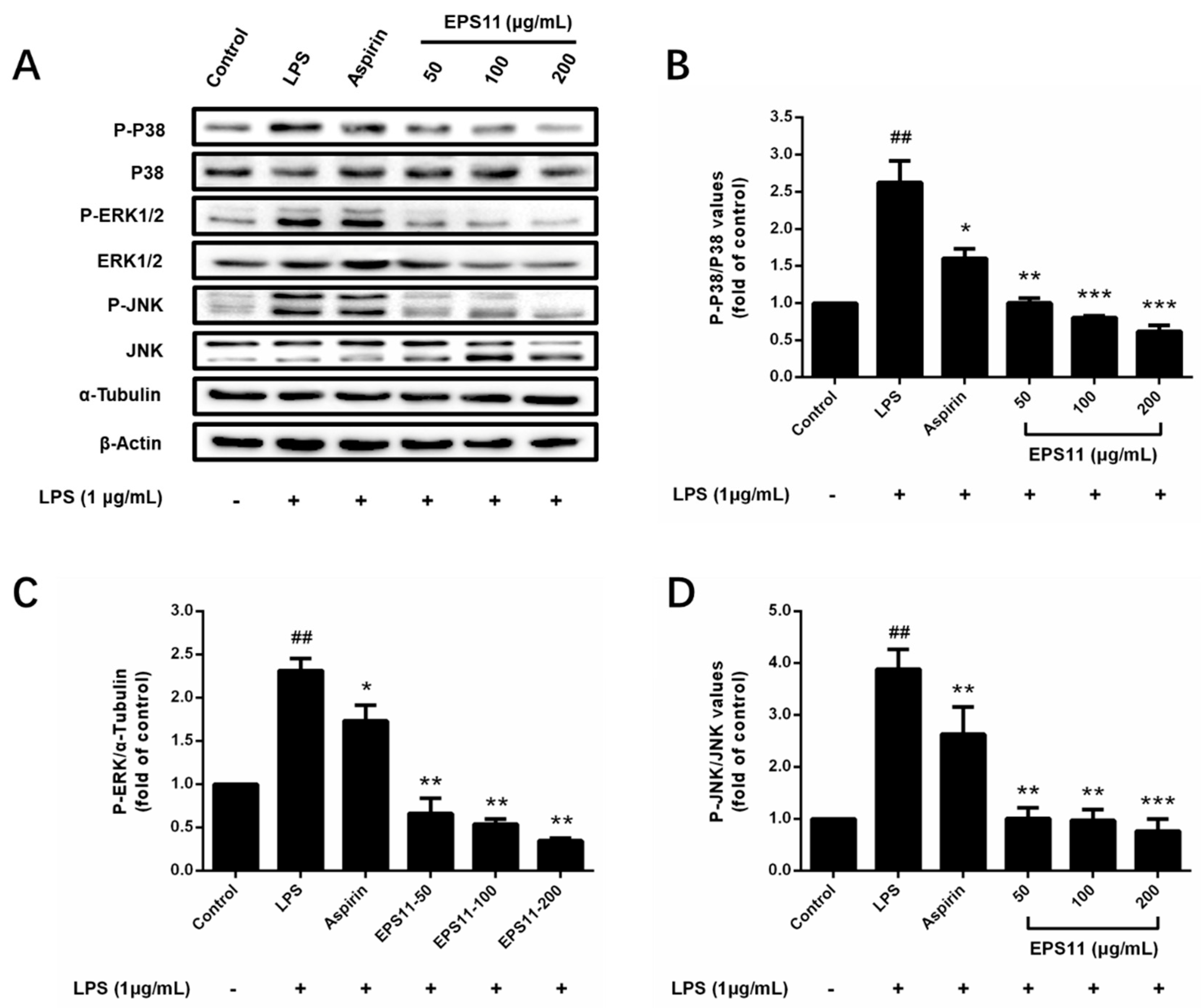Marinedrugs 18 00585 g007 Marinedrugs 18 00585 g007