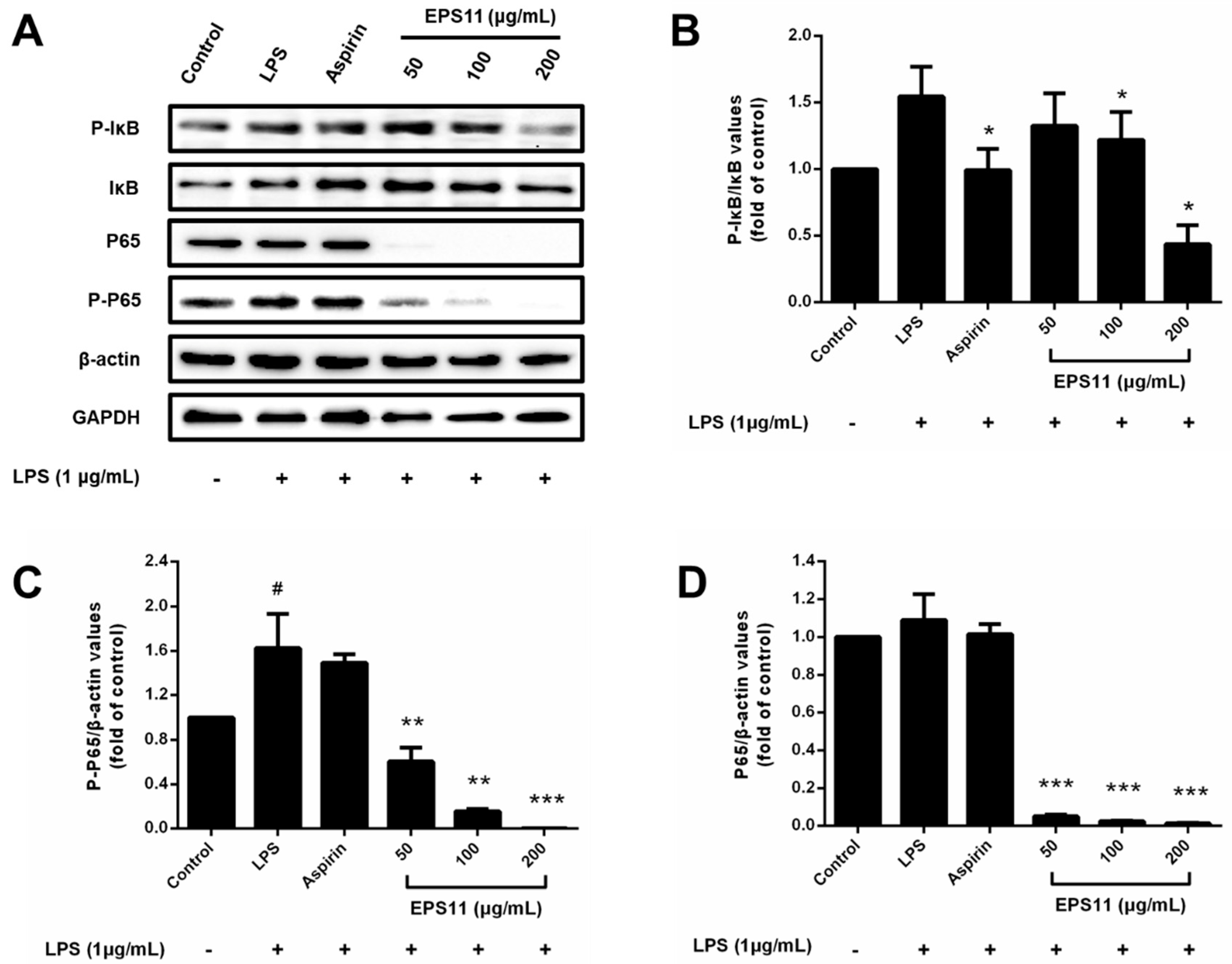 Marinedrugs 18 00585 g008 Marinedrugs 18 00585 g008