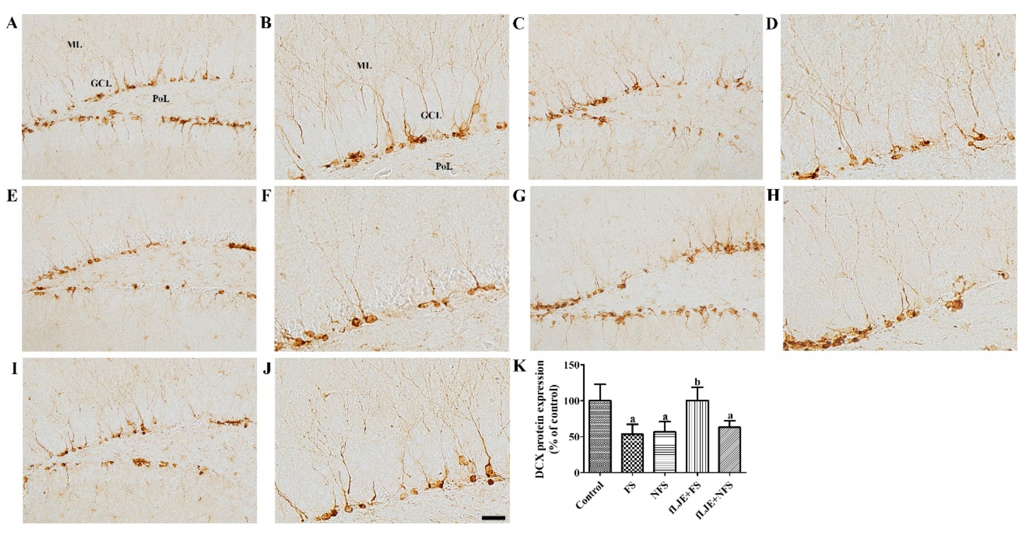 Marinedrugs 18 00587 g003 Marinedrugs 18 00587 g003