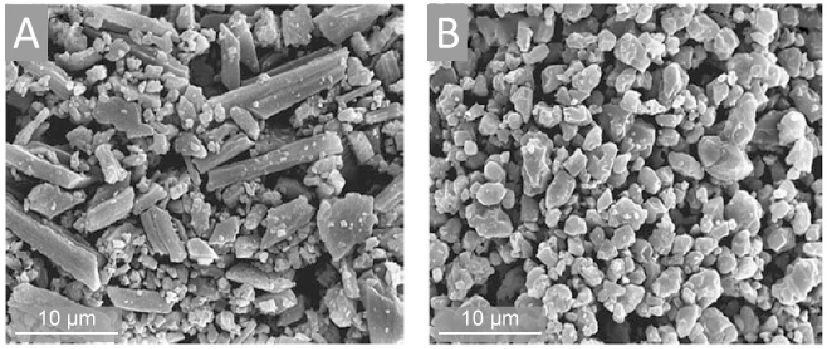 Marinedrugs 18 00589 g005 Marinedrugs 18 00589 g005