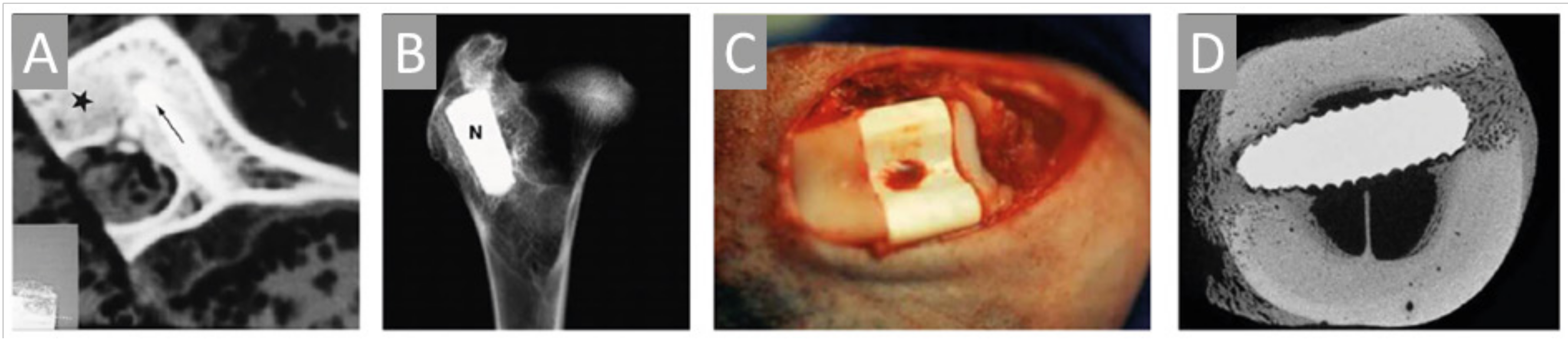 Marinedrugs 18 00589 g007 Marinedrugs 18 00589 g007