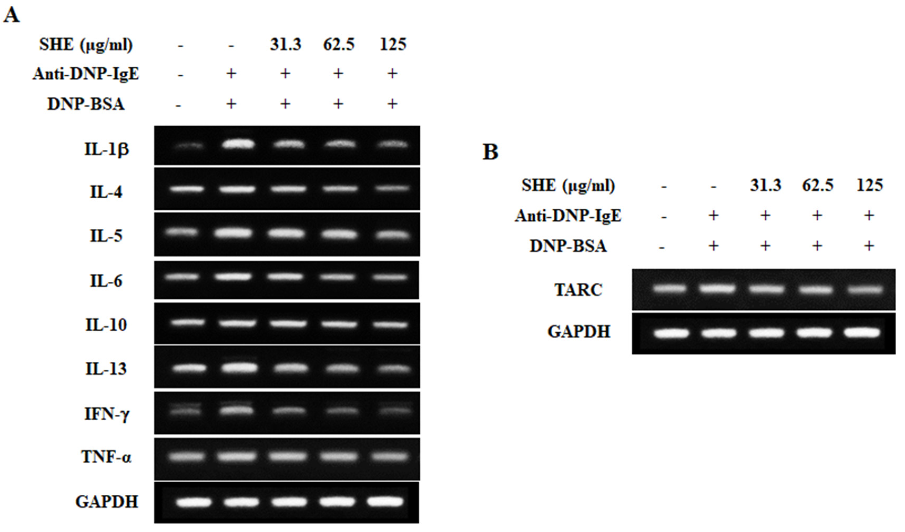 Marinedrugs 18 00594 g003 Marinedrugs 18 00594 g003