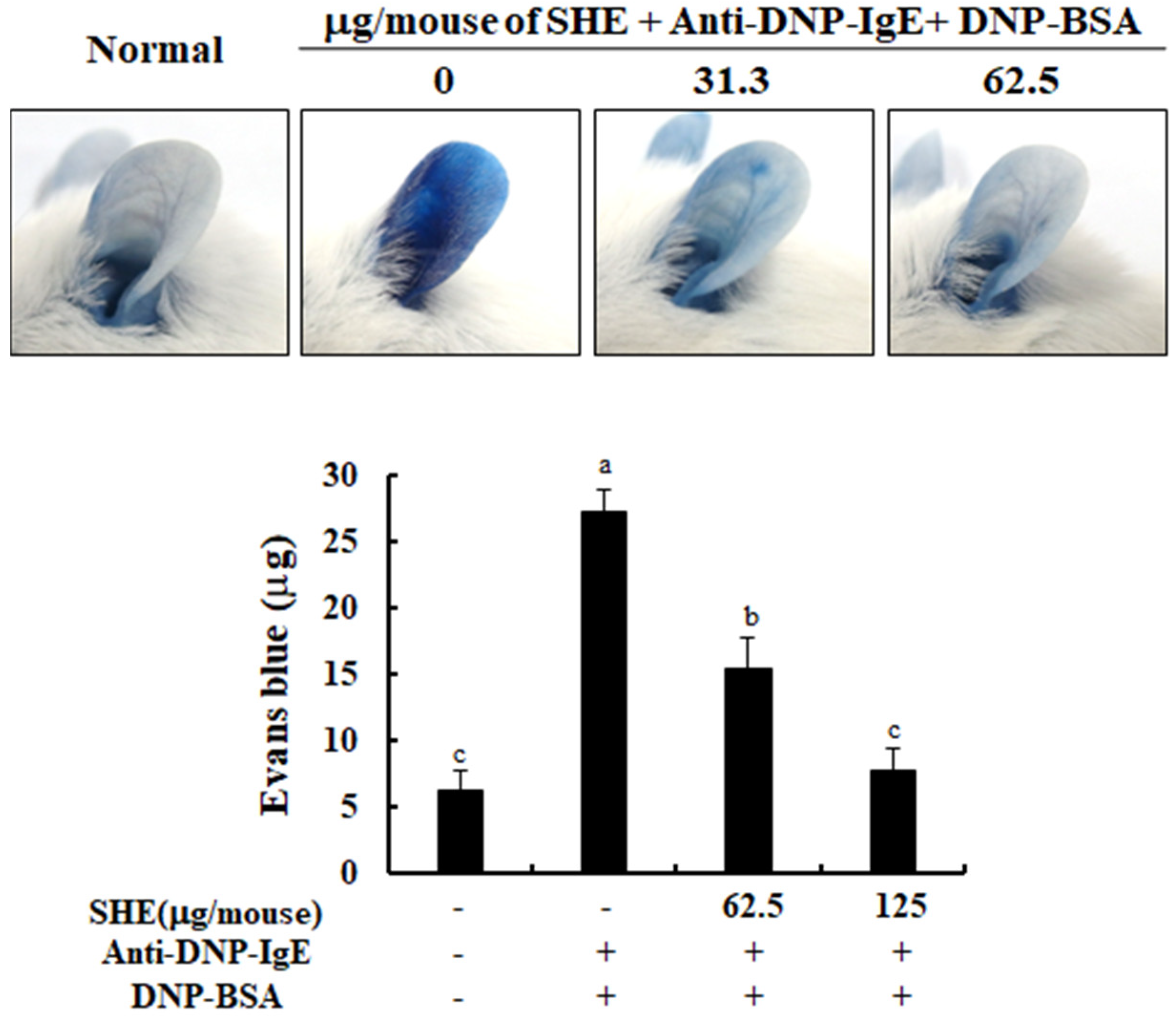 Marinedrugs 18 00594 g006 Marinedrugs 18 00594 g006