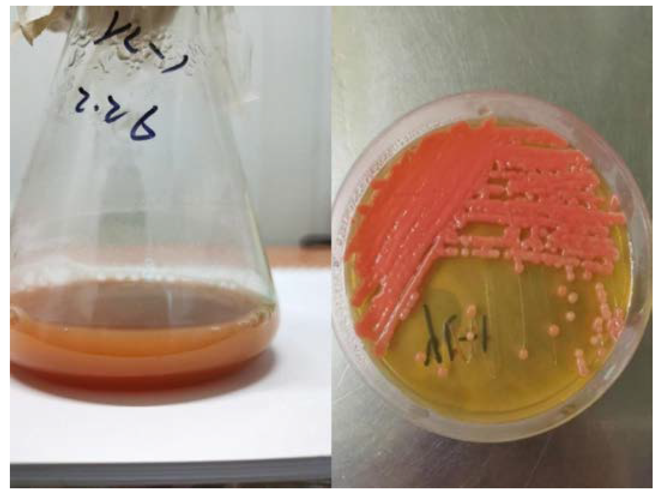 Marinedrugs 18 00595 g001