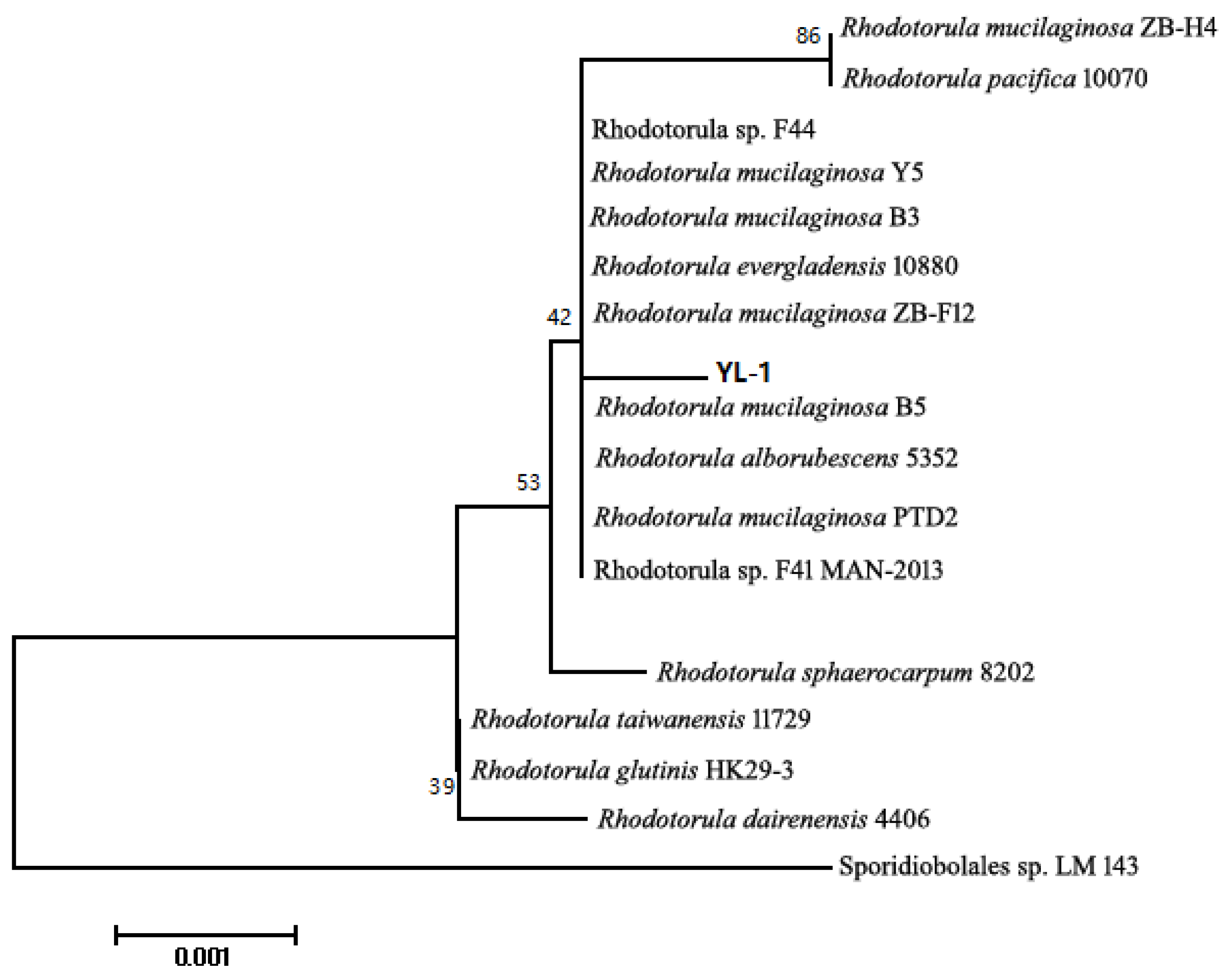 Marinedrugs 18 00595 g002
