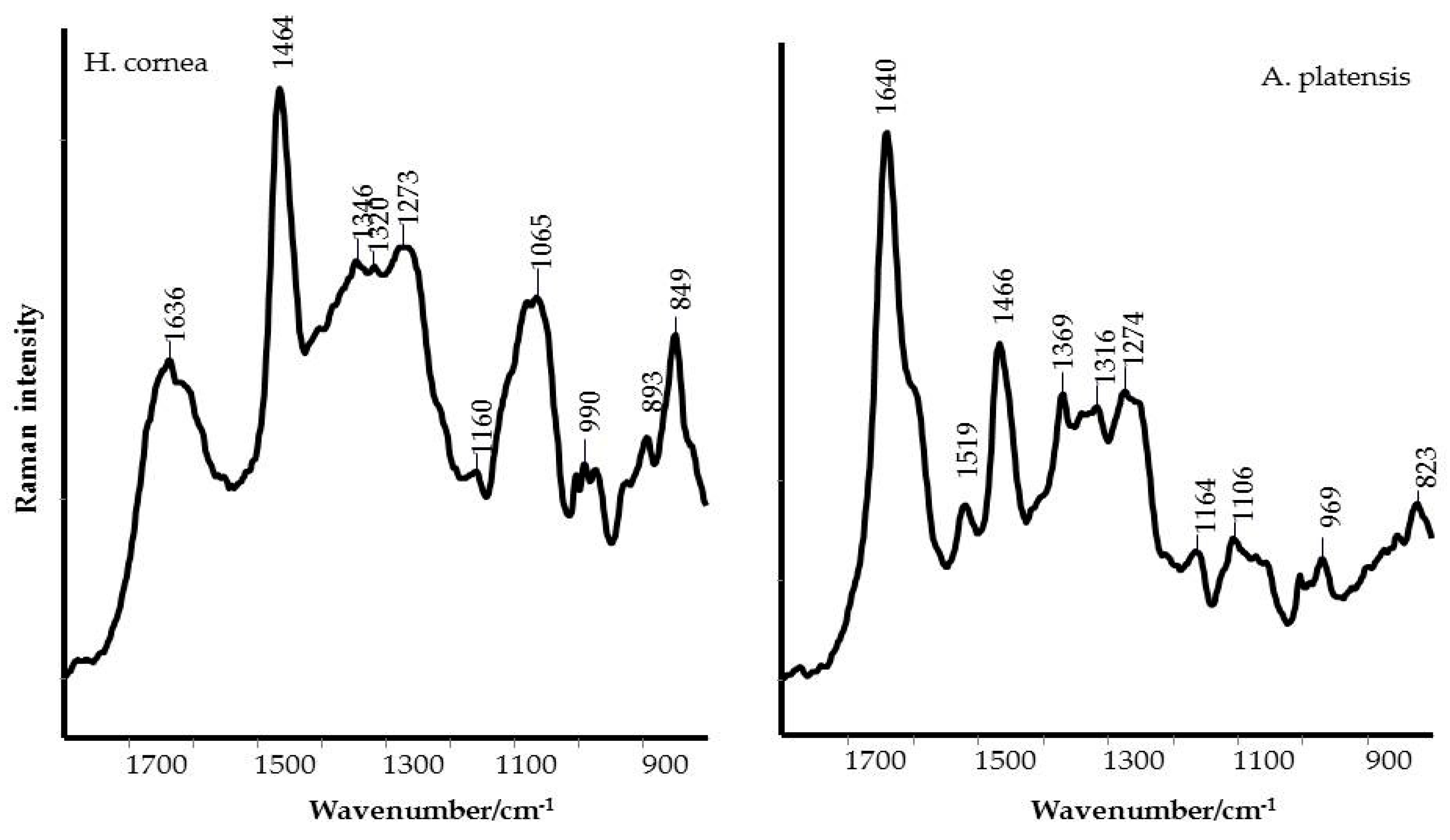 Marinedrugs 18 00600 g002
