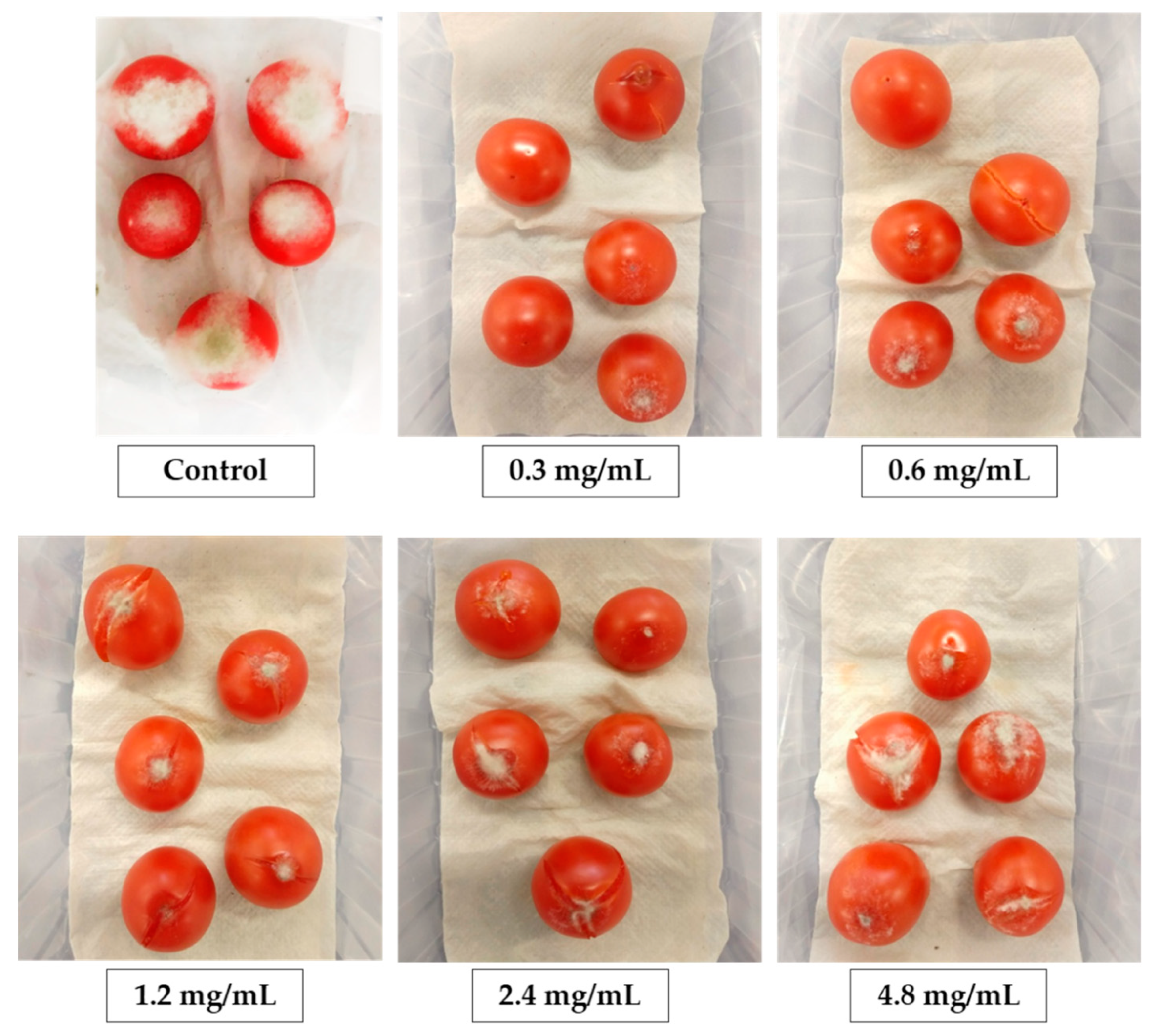 Marinedrugs 18 00600 g006