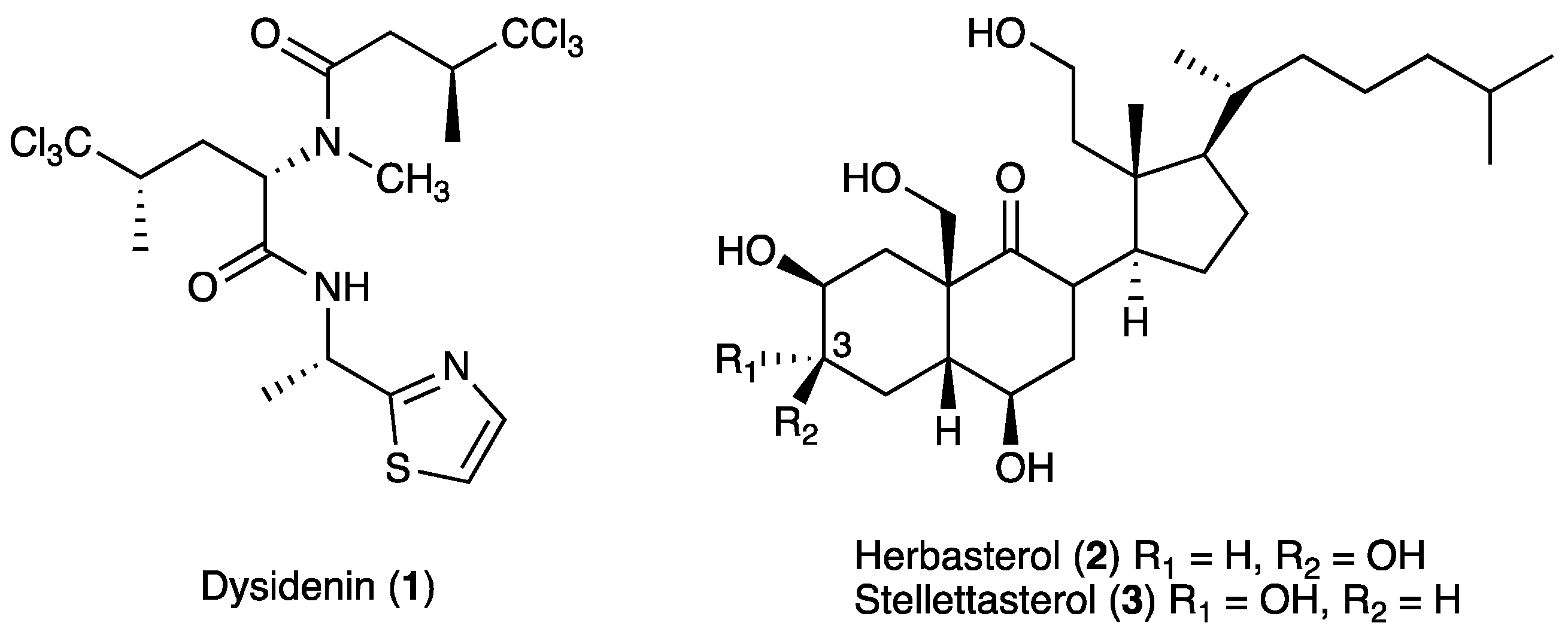 Marinedrugs 18 00606 g001