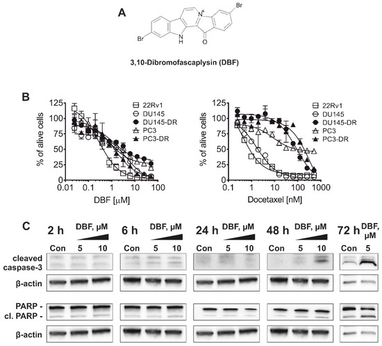 Tratamentul hormonal în cancer