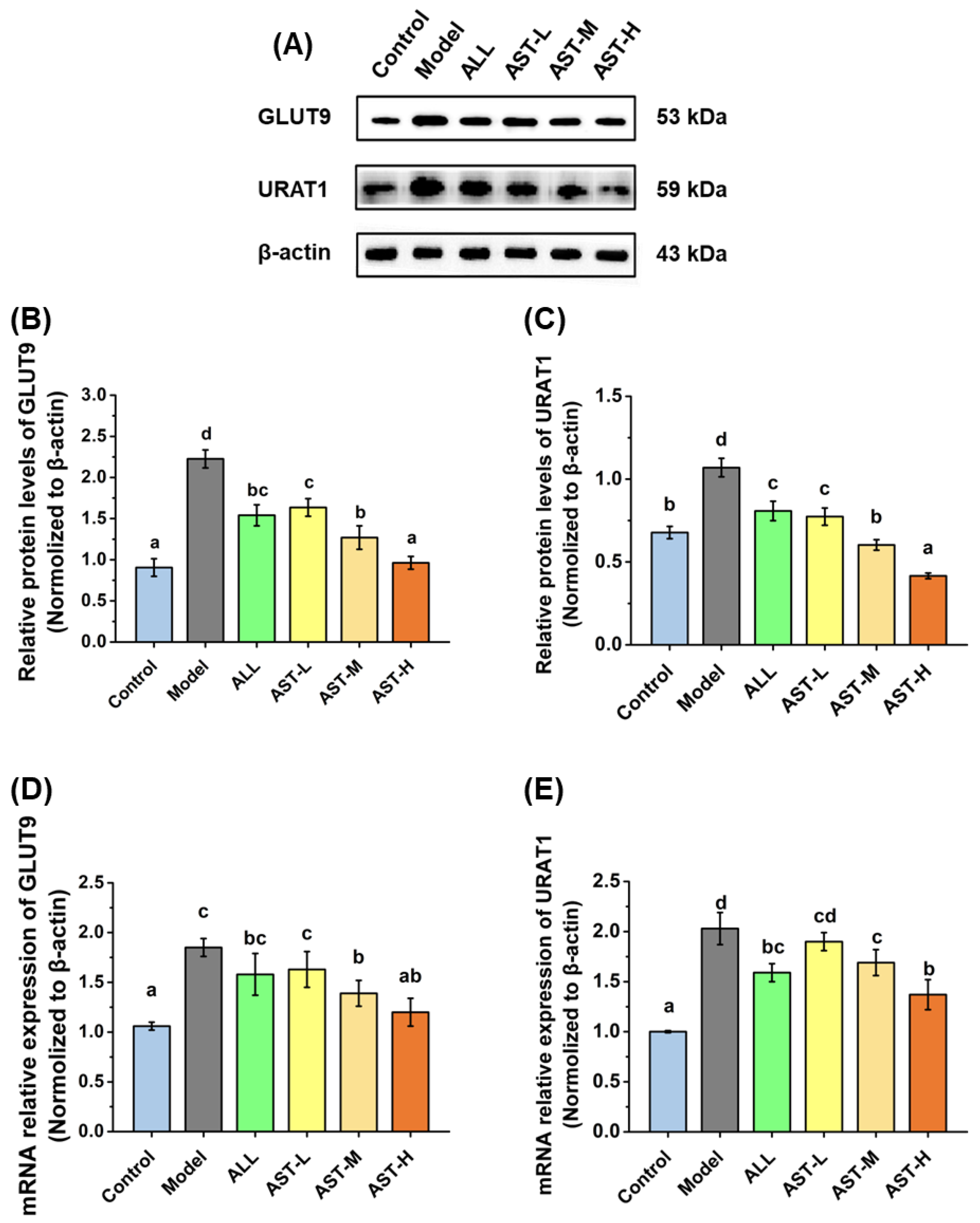 Marinedrugs 18 00610 g006
