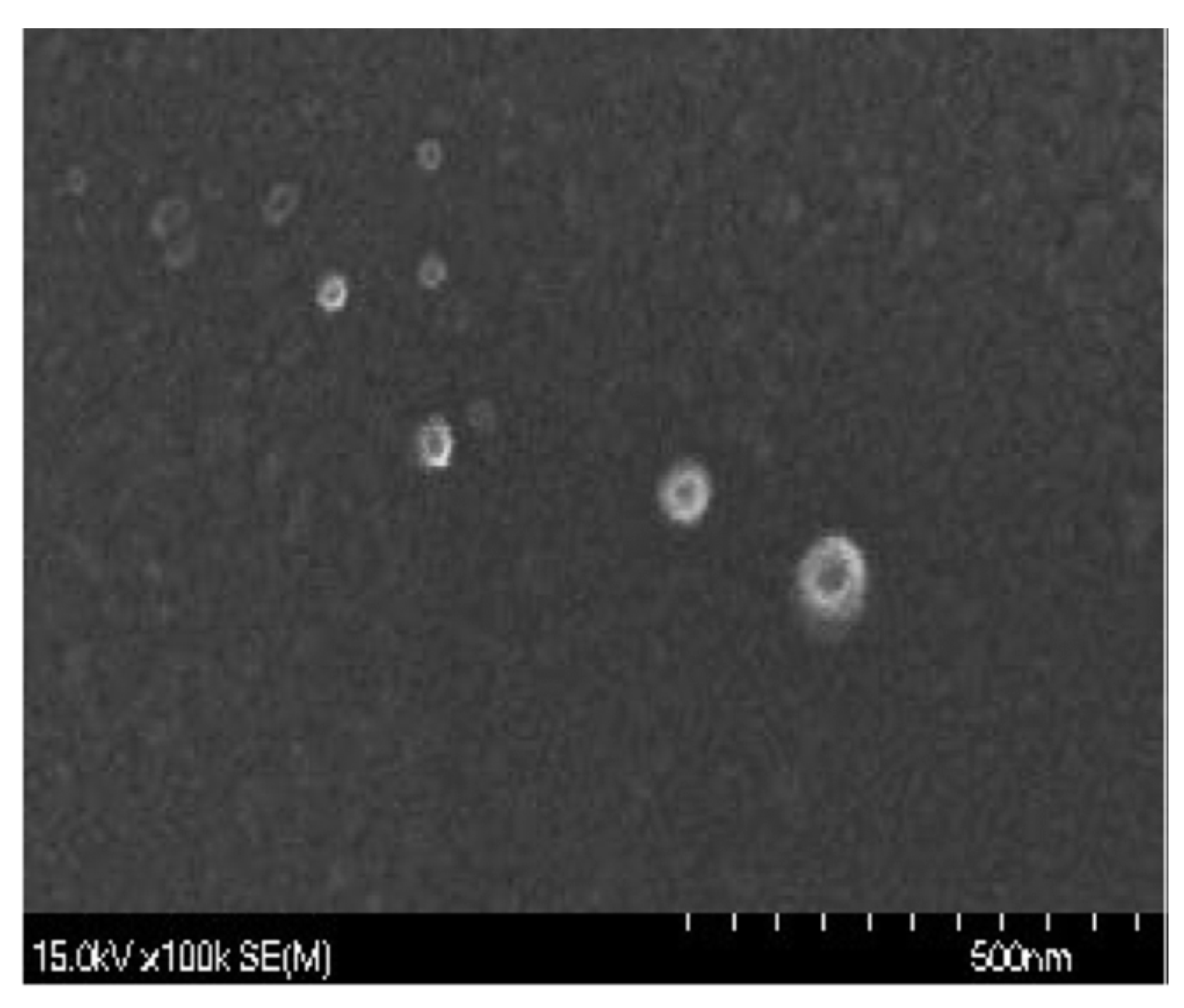 Marinedrugs 18 00611 g006 Marinedrugs 18 00611 g006