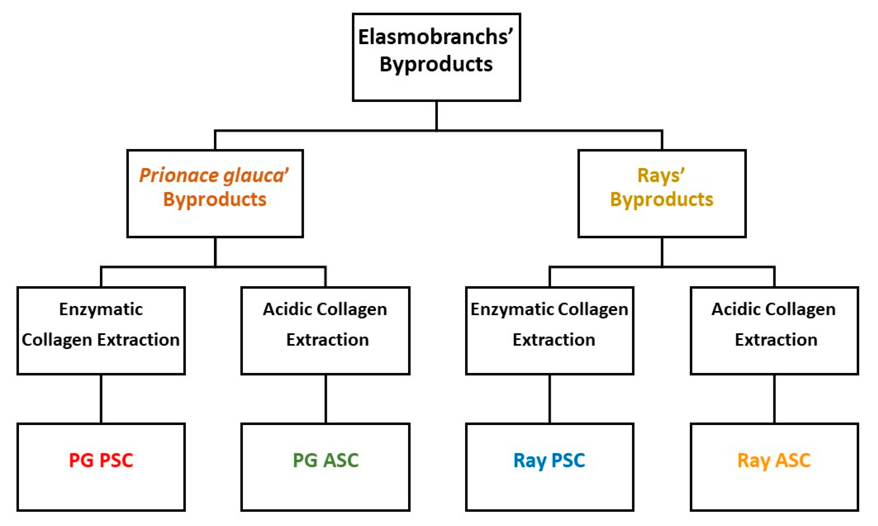 Marinedrugs 18 00617 g004
