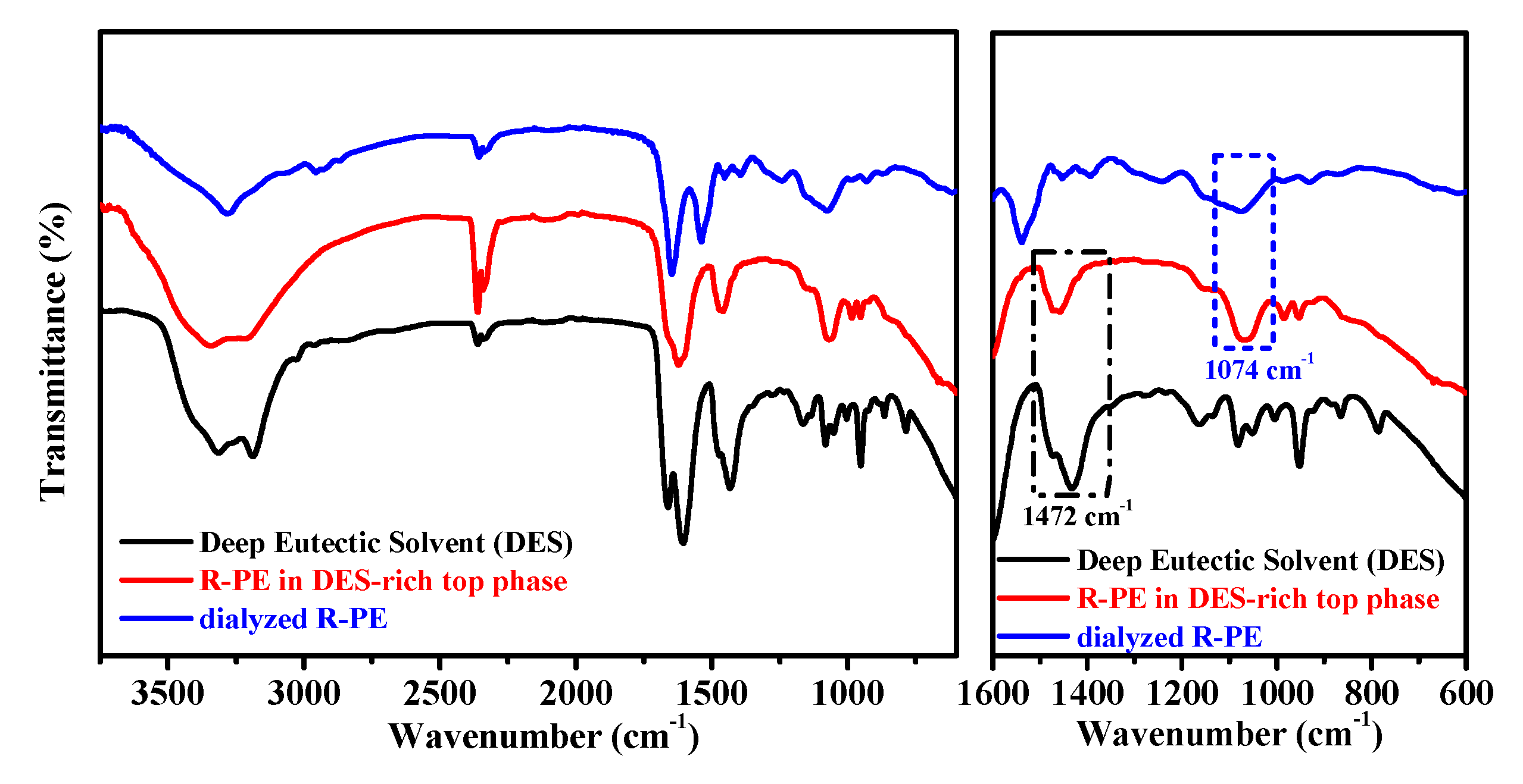 Marinedrugs 18 00618 g007 Marinedrugs 18 00618 g007