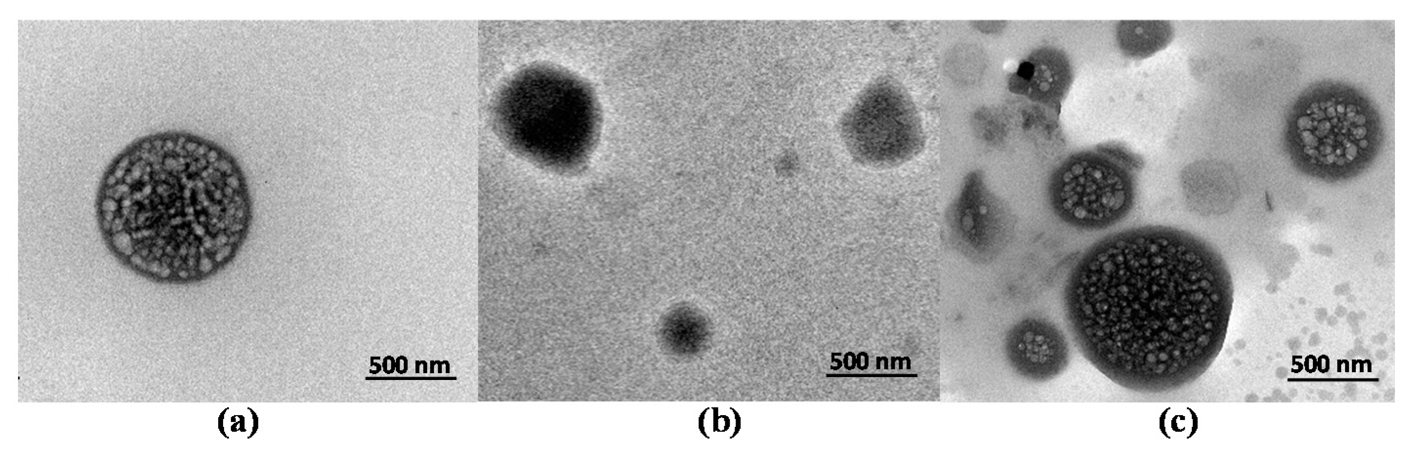 Marinedrugs 18 00618 g009 Marinedrugs 18 00618 g009