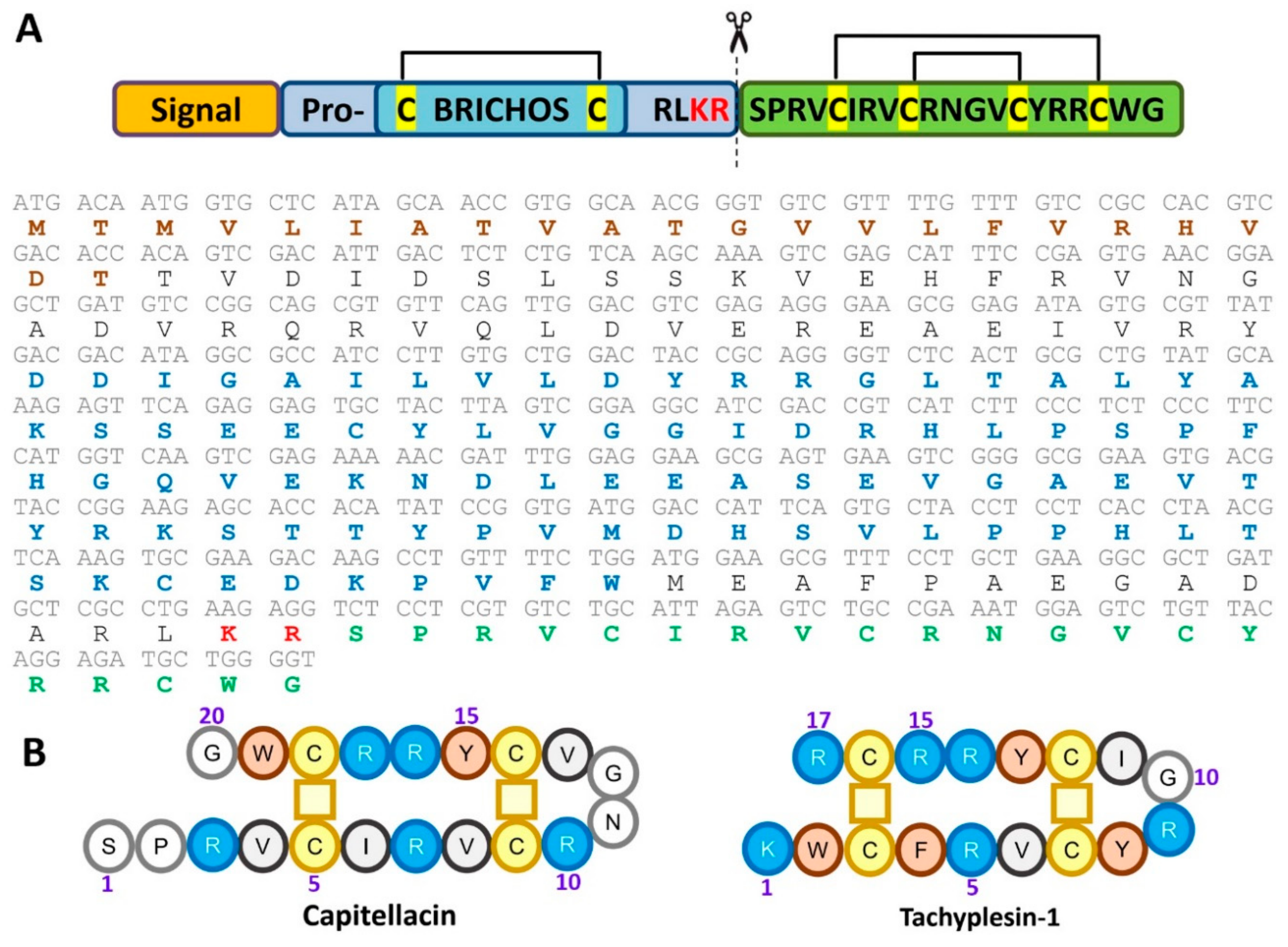Marinedrugs 18 00620 g001