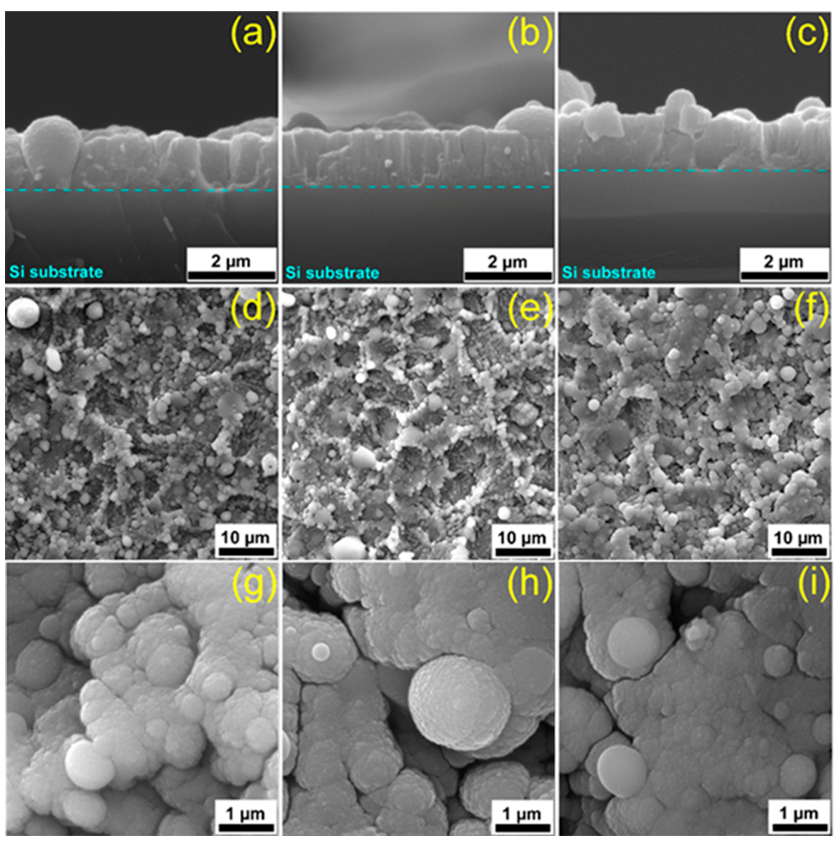 Marinedrugs 18 00623 g001 Marinedrugs 18 00623 g001