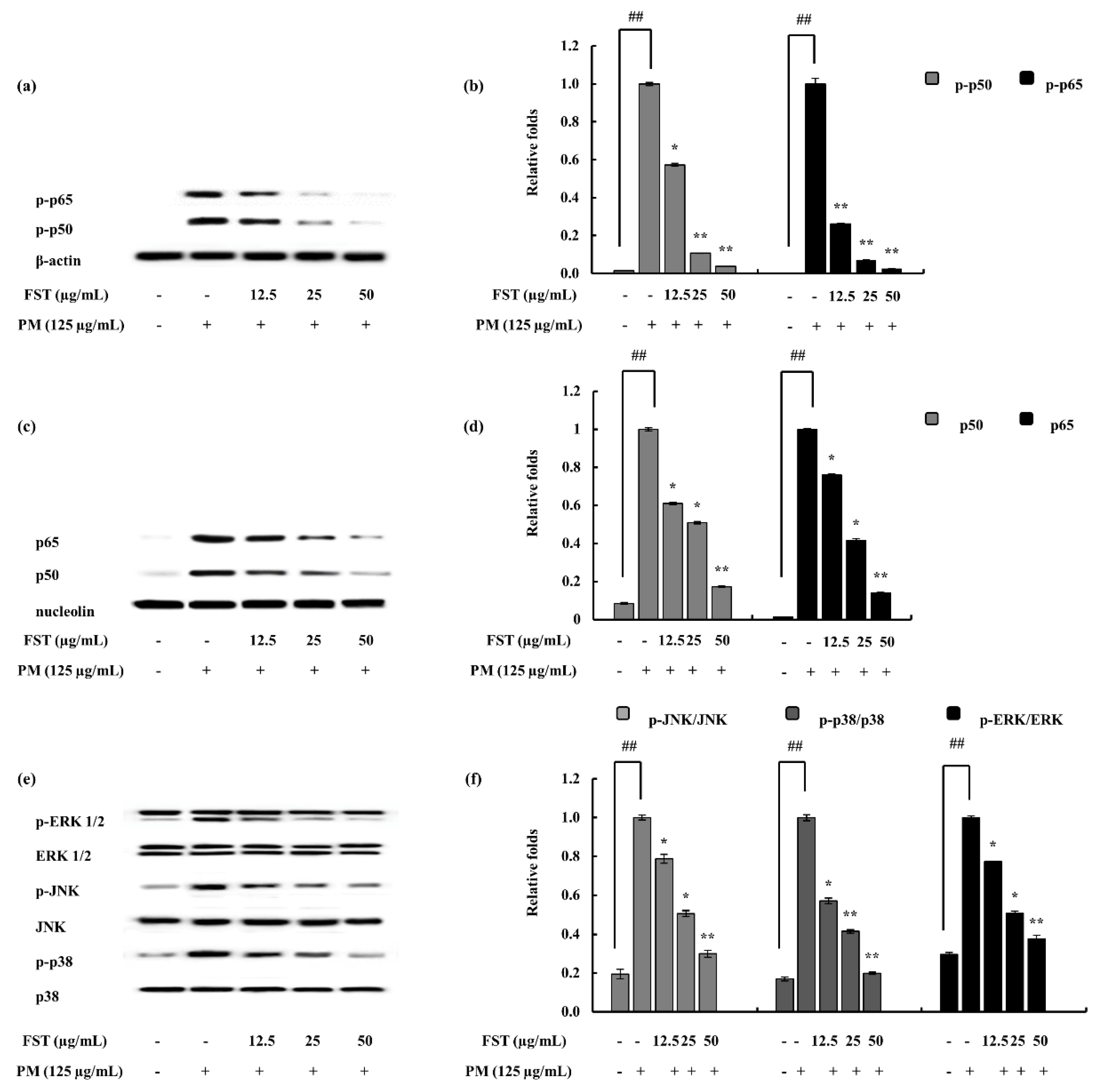 Marinedrugs 18 00628 g005 Marinedrugs 18 00628 g005
