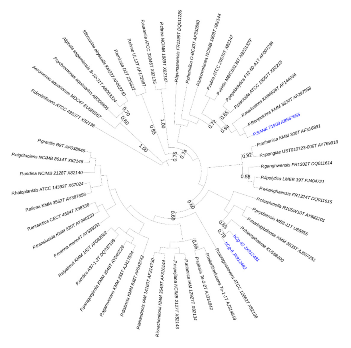 Marinedrugs 18 00630 g001 Marinedrugs 18 00630 g001