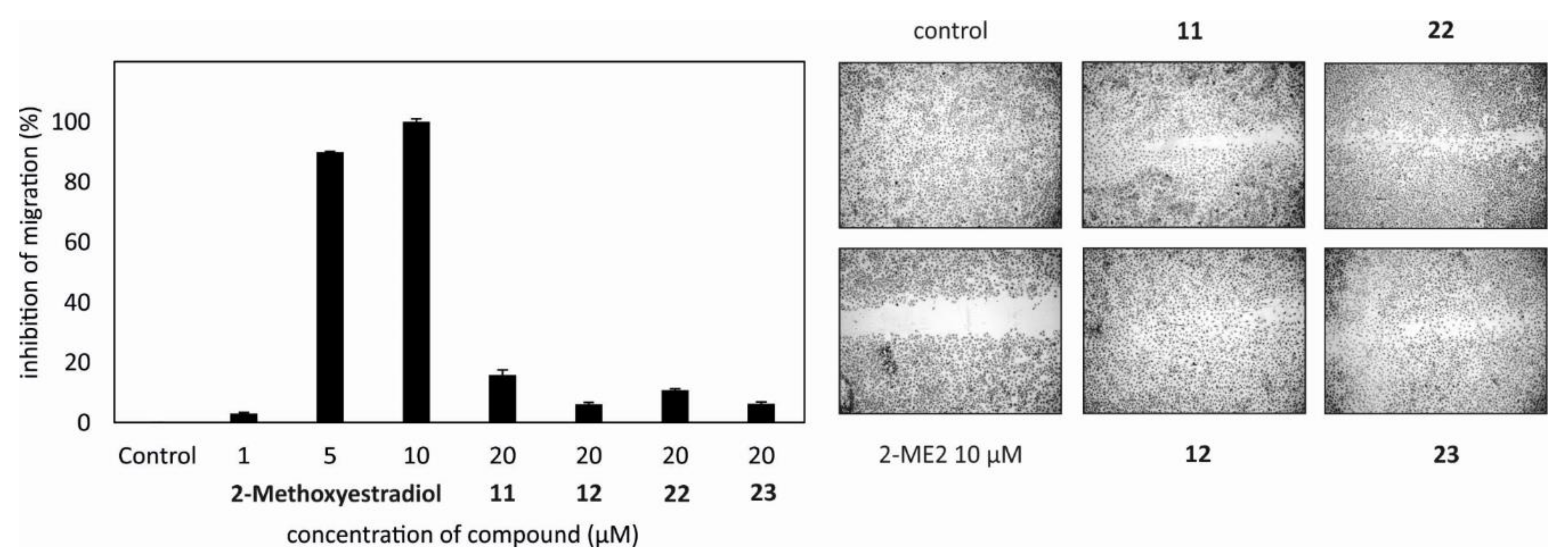 Marinedrugs 18 00632 g004 Marinedrugs 18 00632 g004