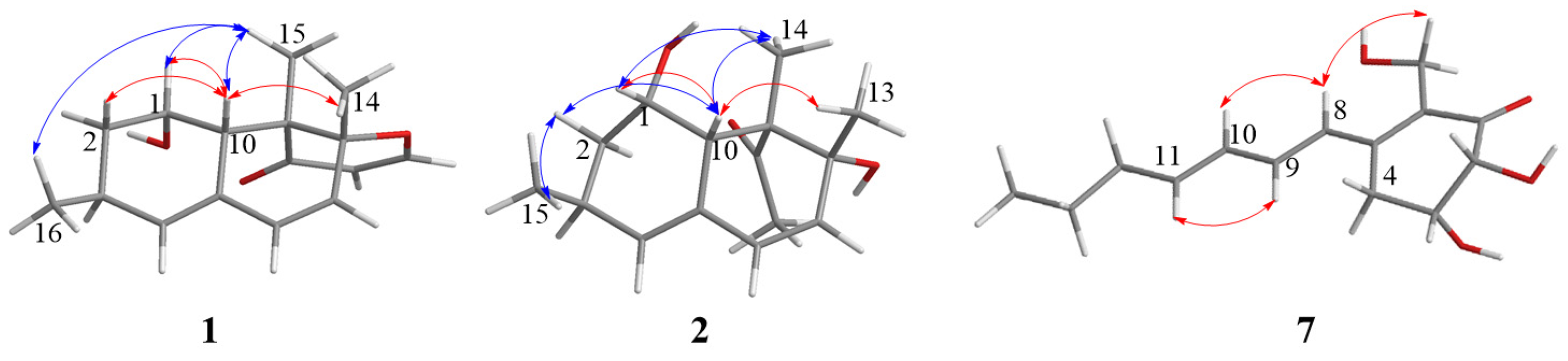 Marinedrugs 18 00636 g003 Marinedrugs 18 00636 g003