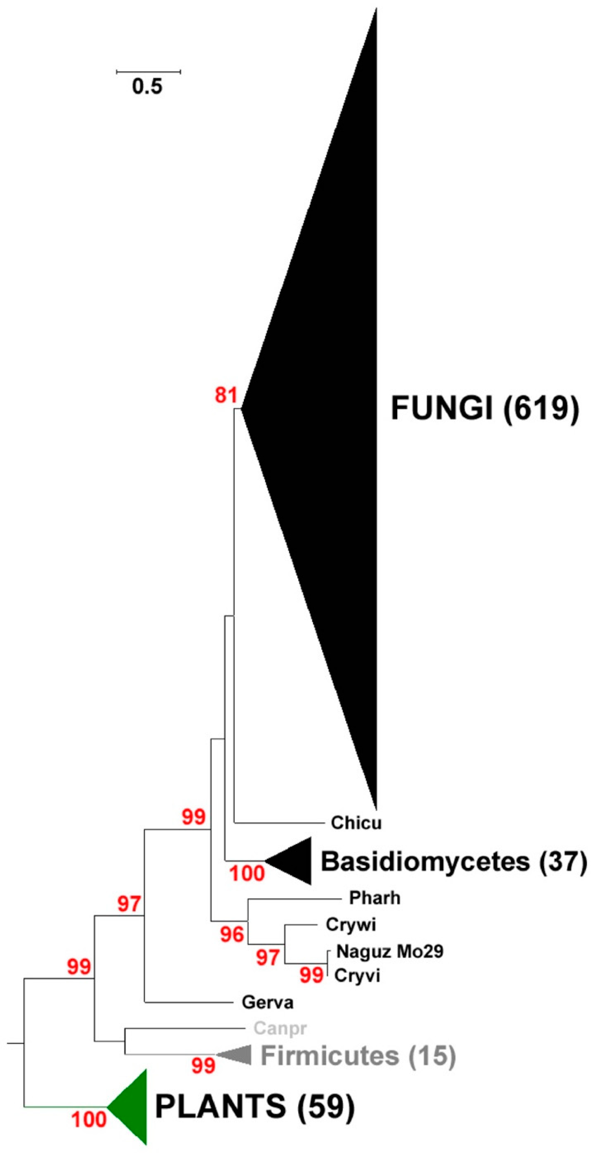 Marinedrugs 18 00637 g001 Marinedrugs 18 00637 g001