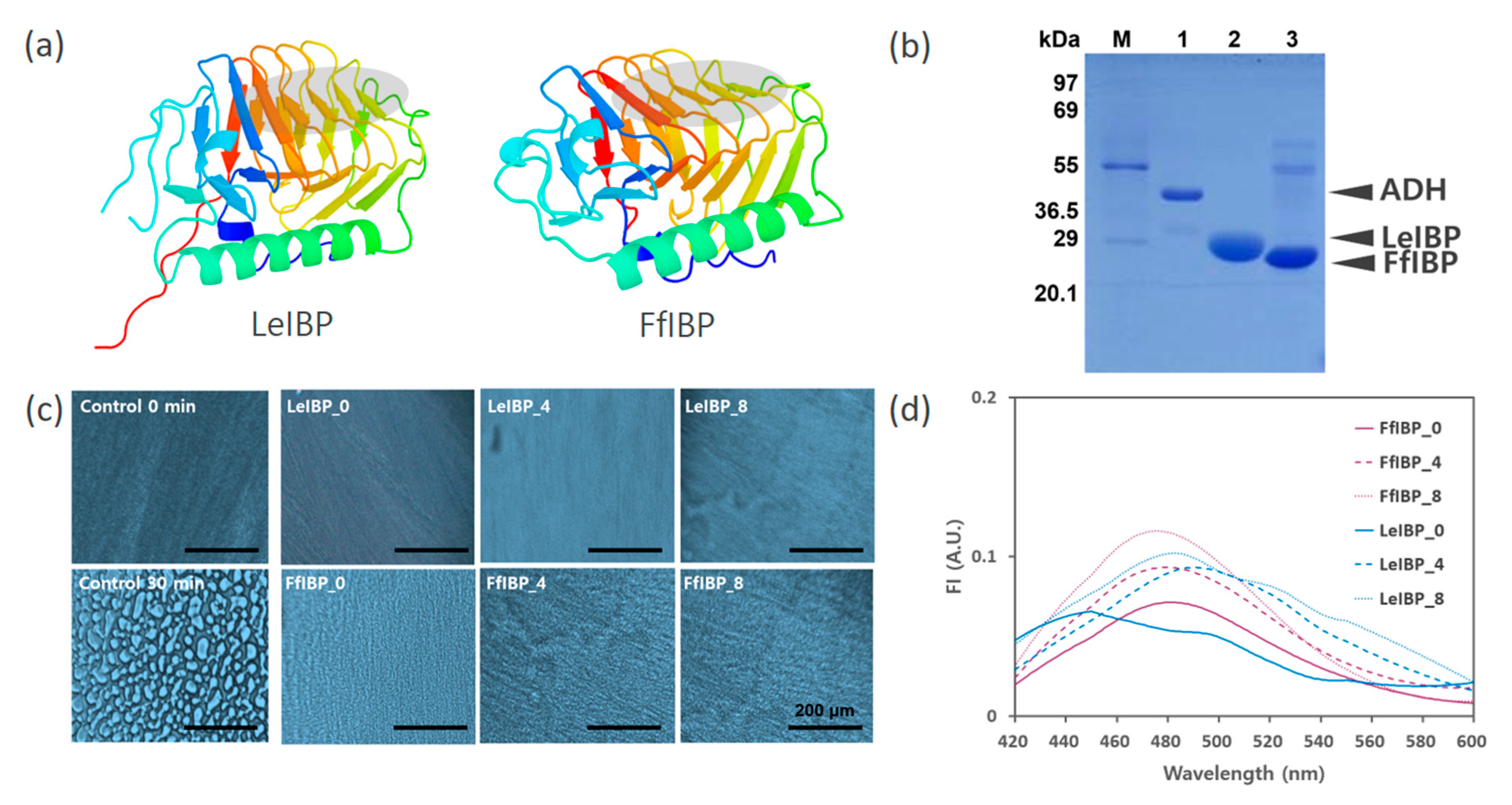 Marinedrugs 18 00638 g001 Marinedrugs 18 00638 g001