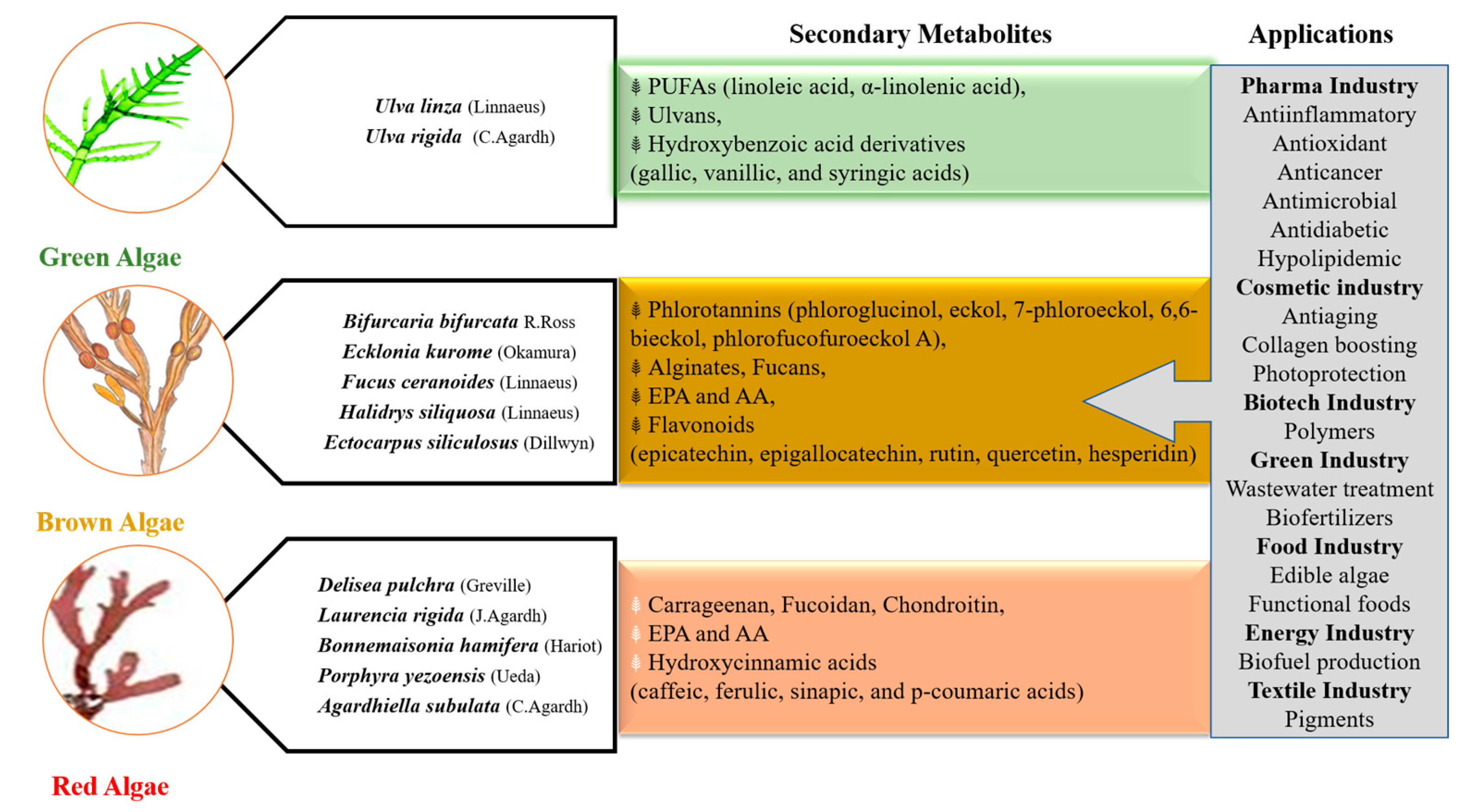 Marinedrugs 18 00641 g003 Marinedrugs 18 00641 g003