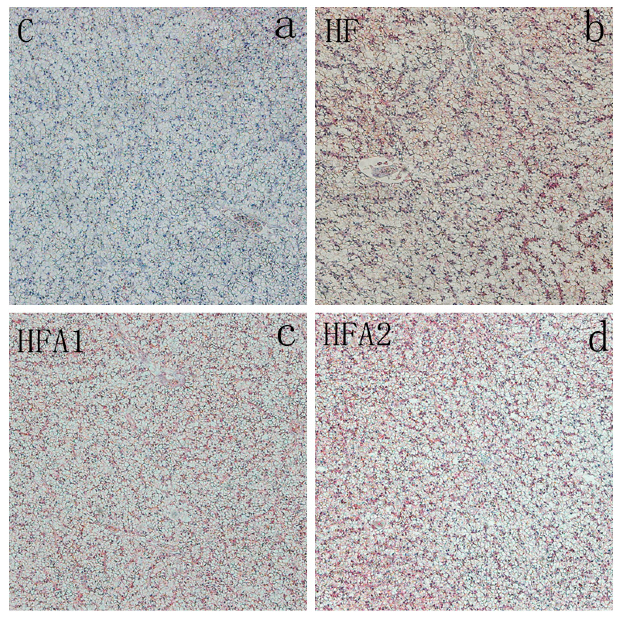 Marinedrugs 18 00642 g001